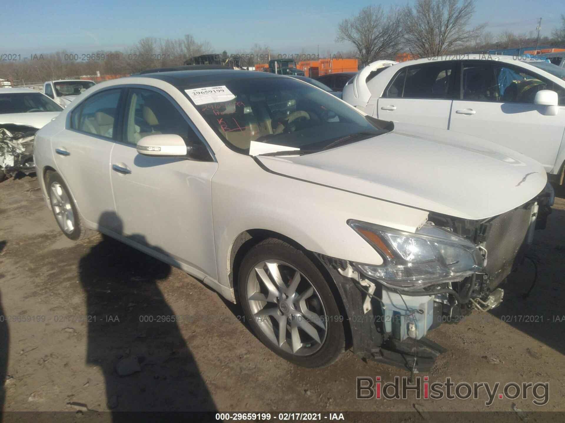 Photo 1N4AA5AP7BC807553 - NISSAN MAXIMA 2011