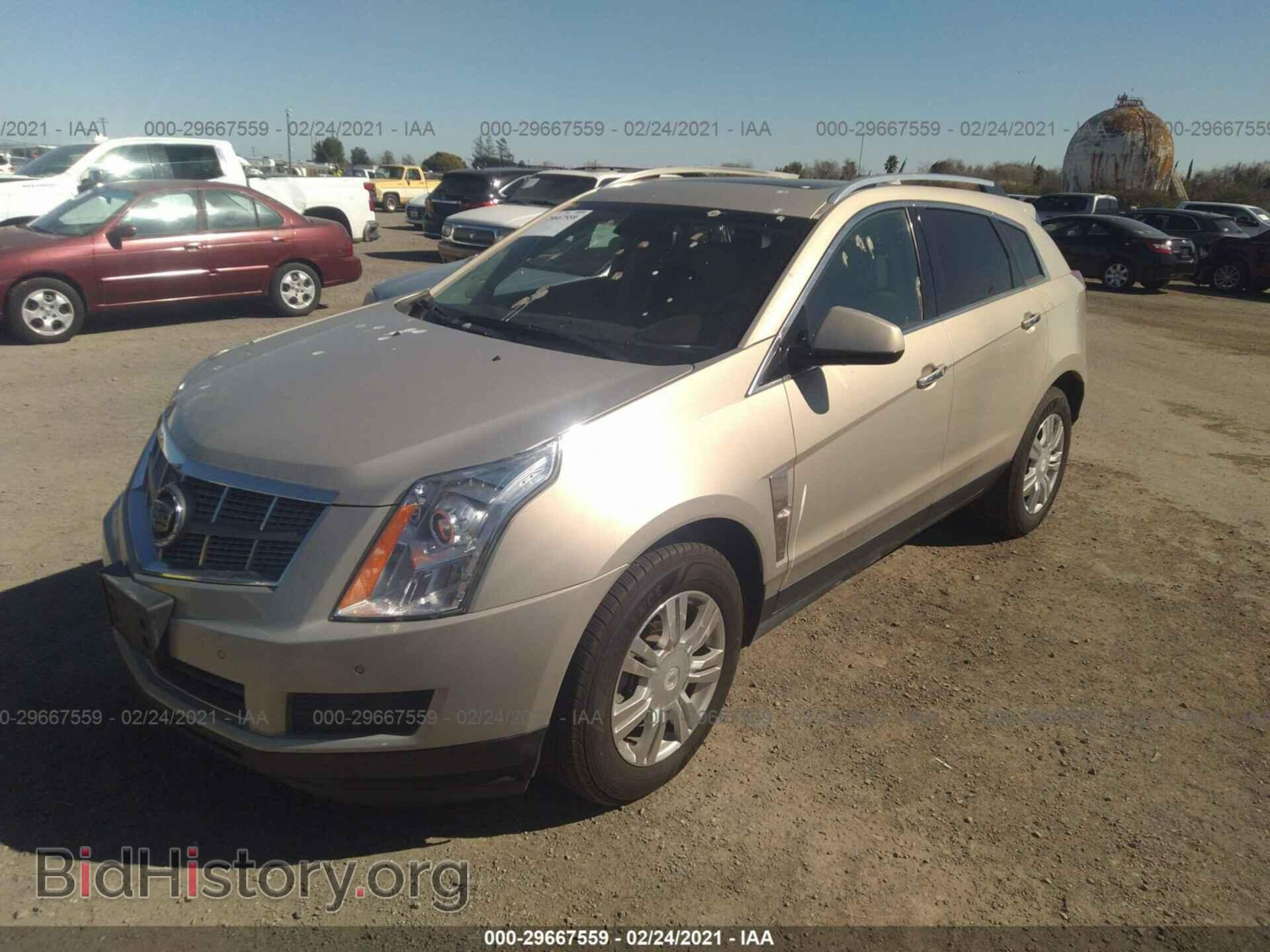 2011 CADILLAC SRX - VIN: 3GYFNDEY7BS671396 - Фото 2