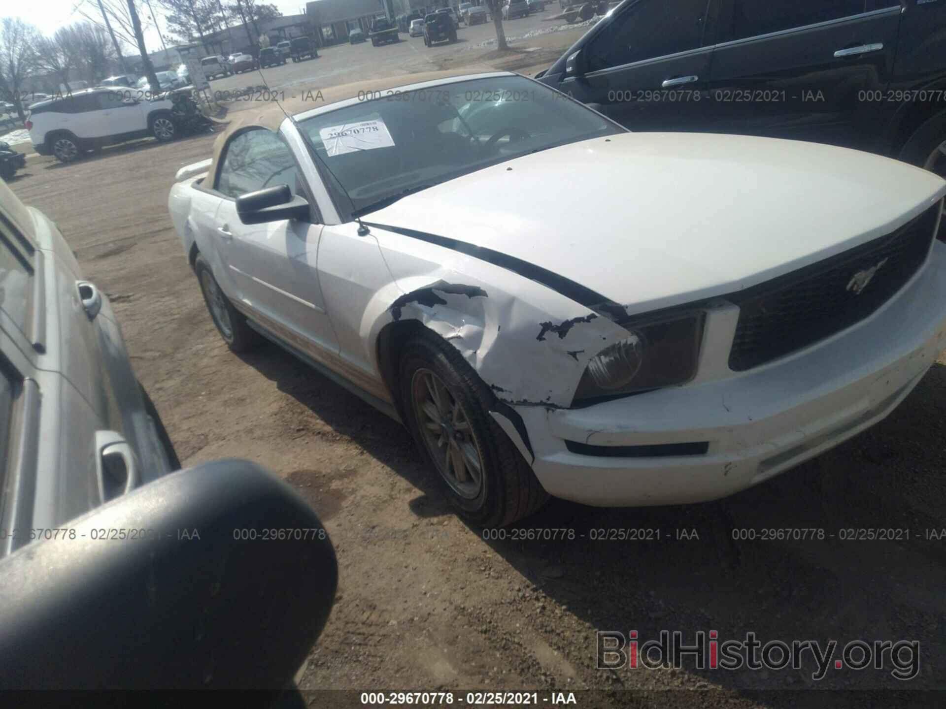 Photo 1ZVHT84N685134635 - FORD MUSTANG 2008