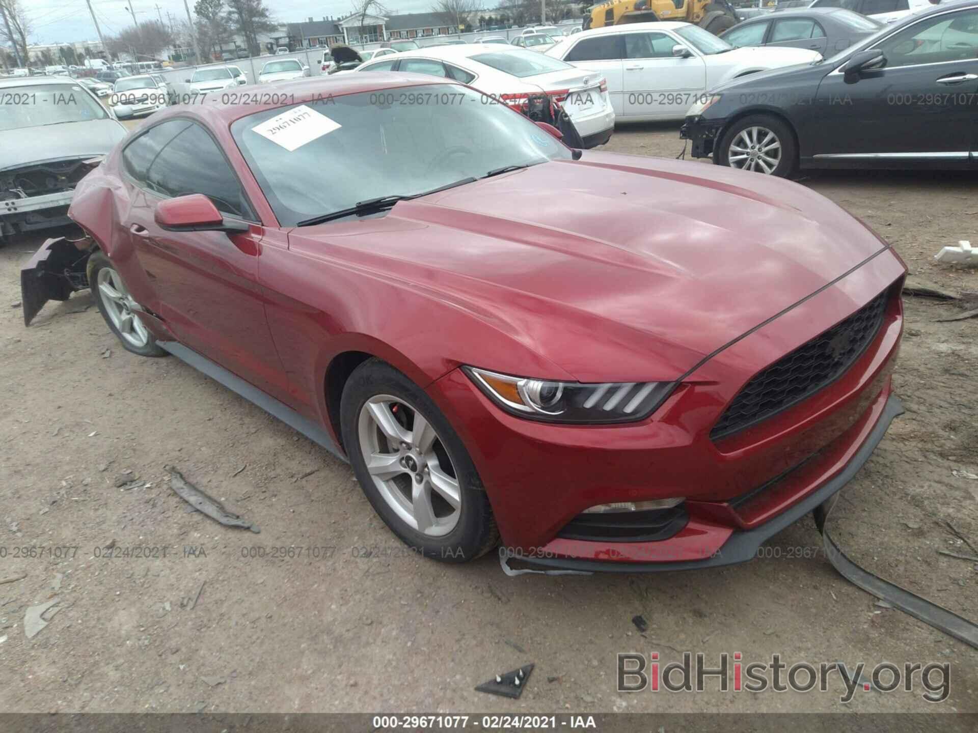 Photo 1FA6P8AM5H5236668 - FORD MUSTANG 2017