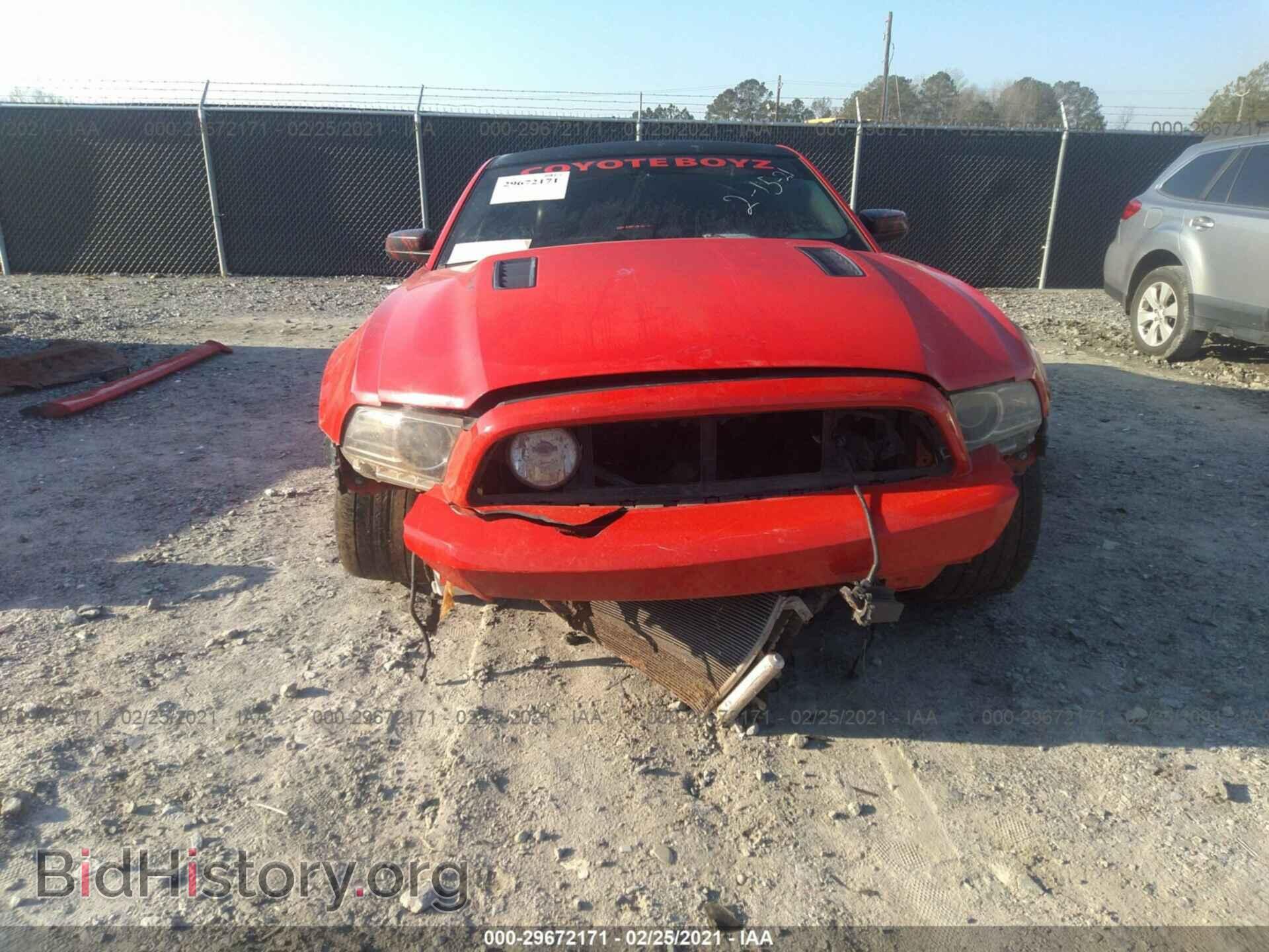 2013 FORD MUSTANG - VIN: 1ZVBP8CF8D5253933 - Фото 6