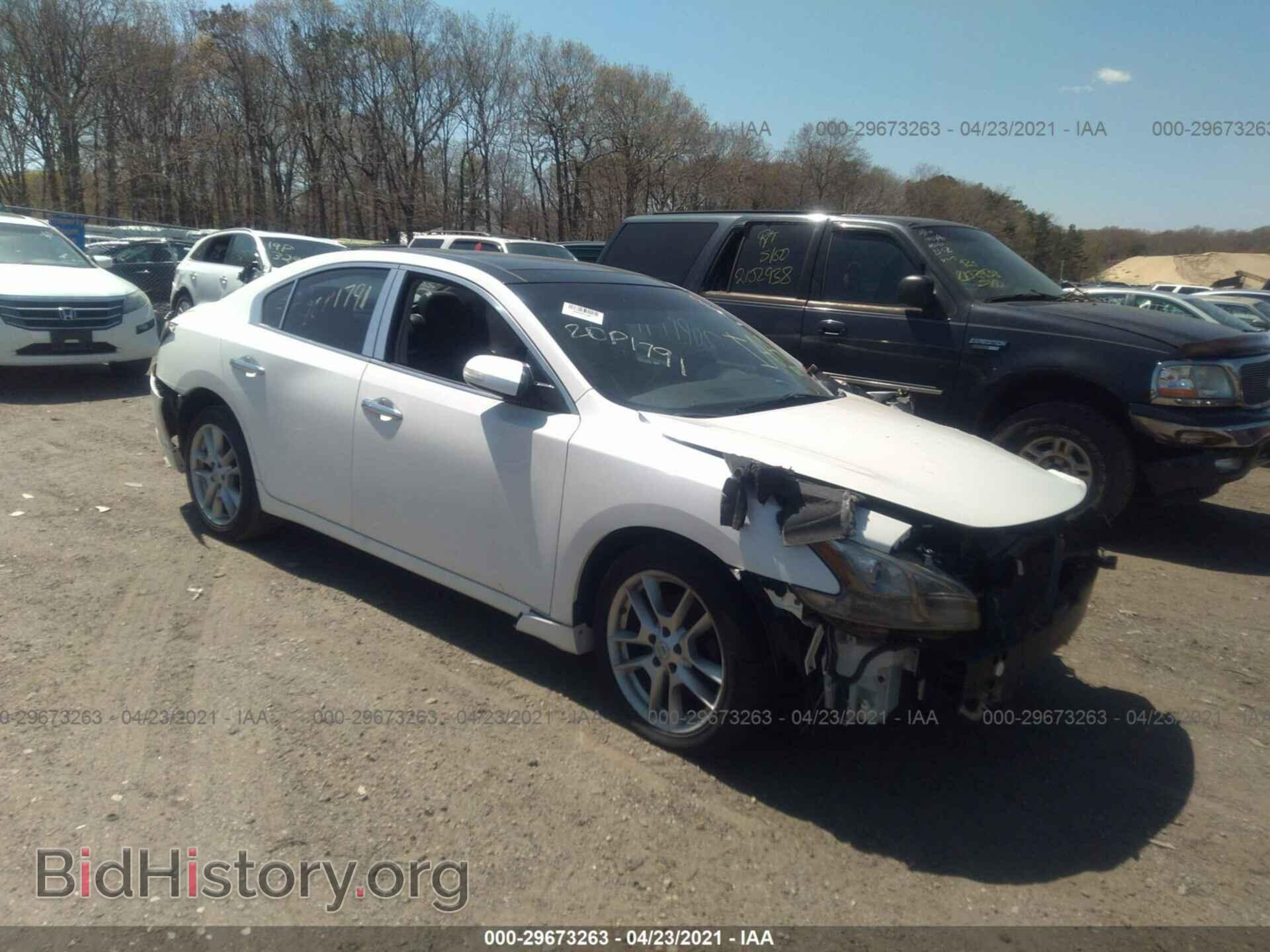 Photo 1N4AA5AP5AC853283 - NISSAN MAXIMA 2010