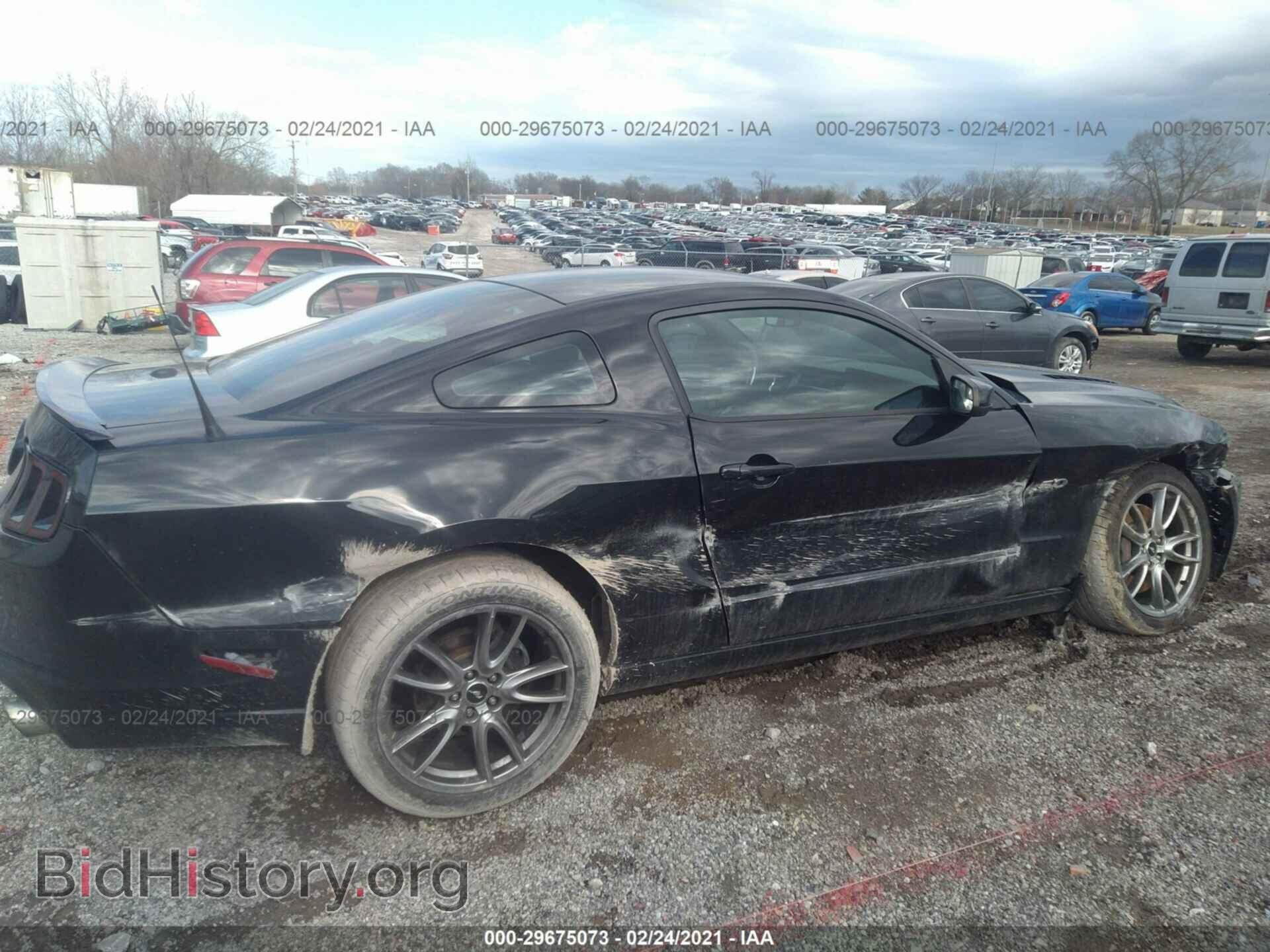 2014 FORD MUSTANG - VIN: 1ZVBP8CF3E5241870 - Фото 6