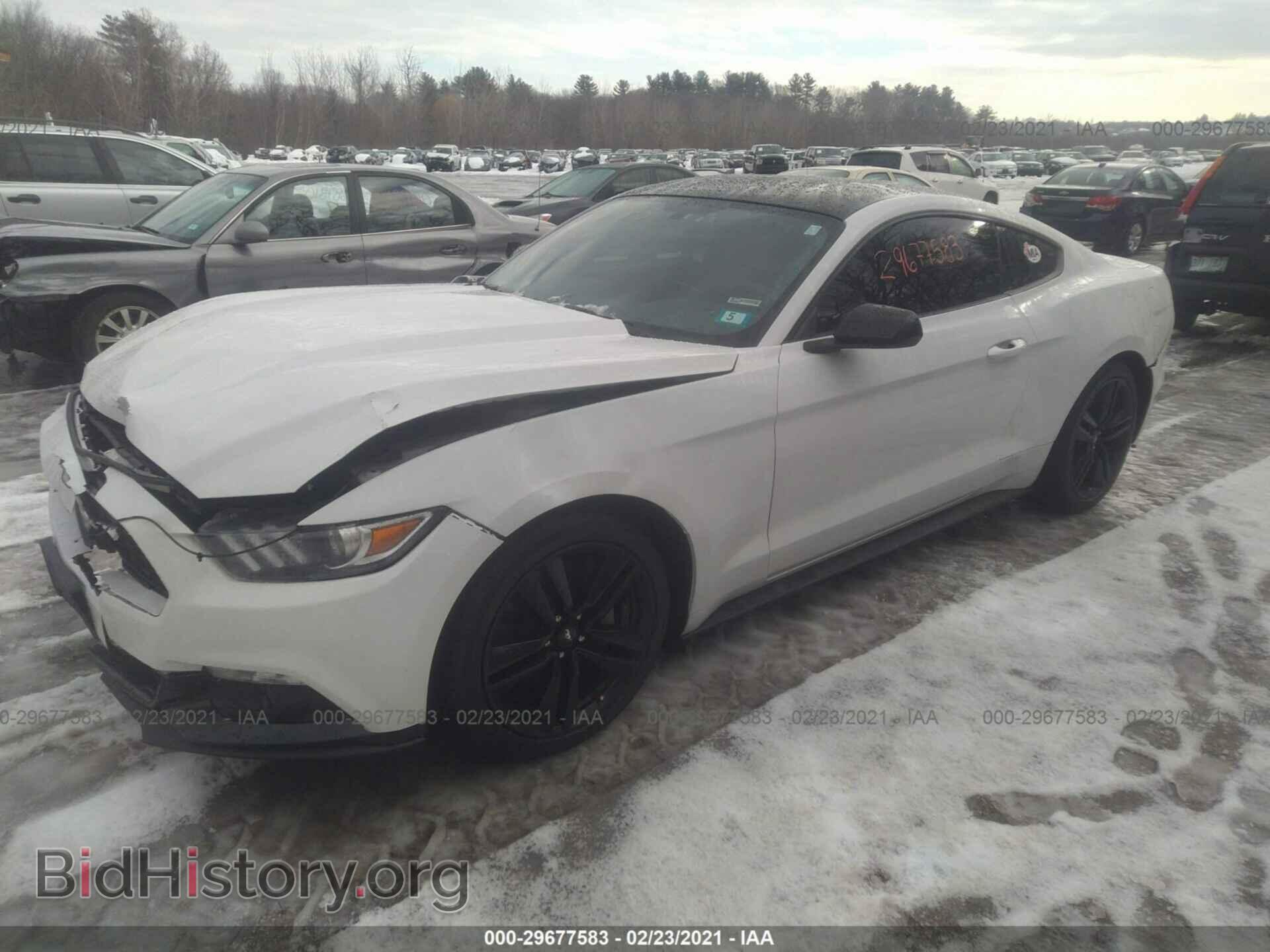 2017 FORD MUSTANG - VIN: 1FA6P8TH5H5304516 - Фото 2