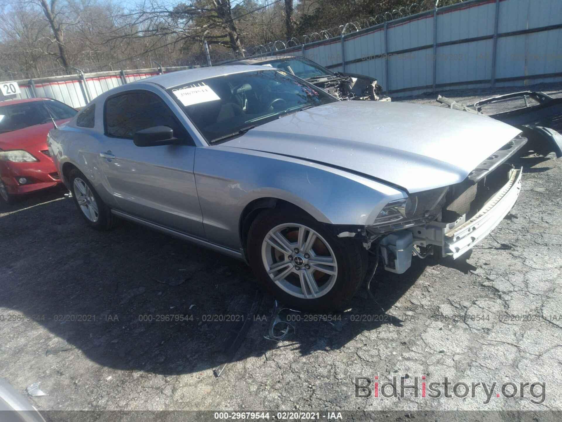 Photo 1ZVBP8AM1E5251038 - FORD MUSTANG 2014