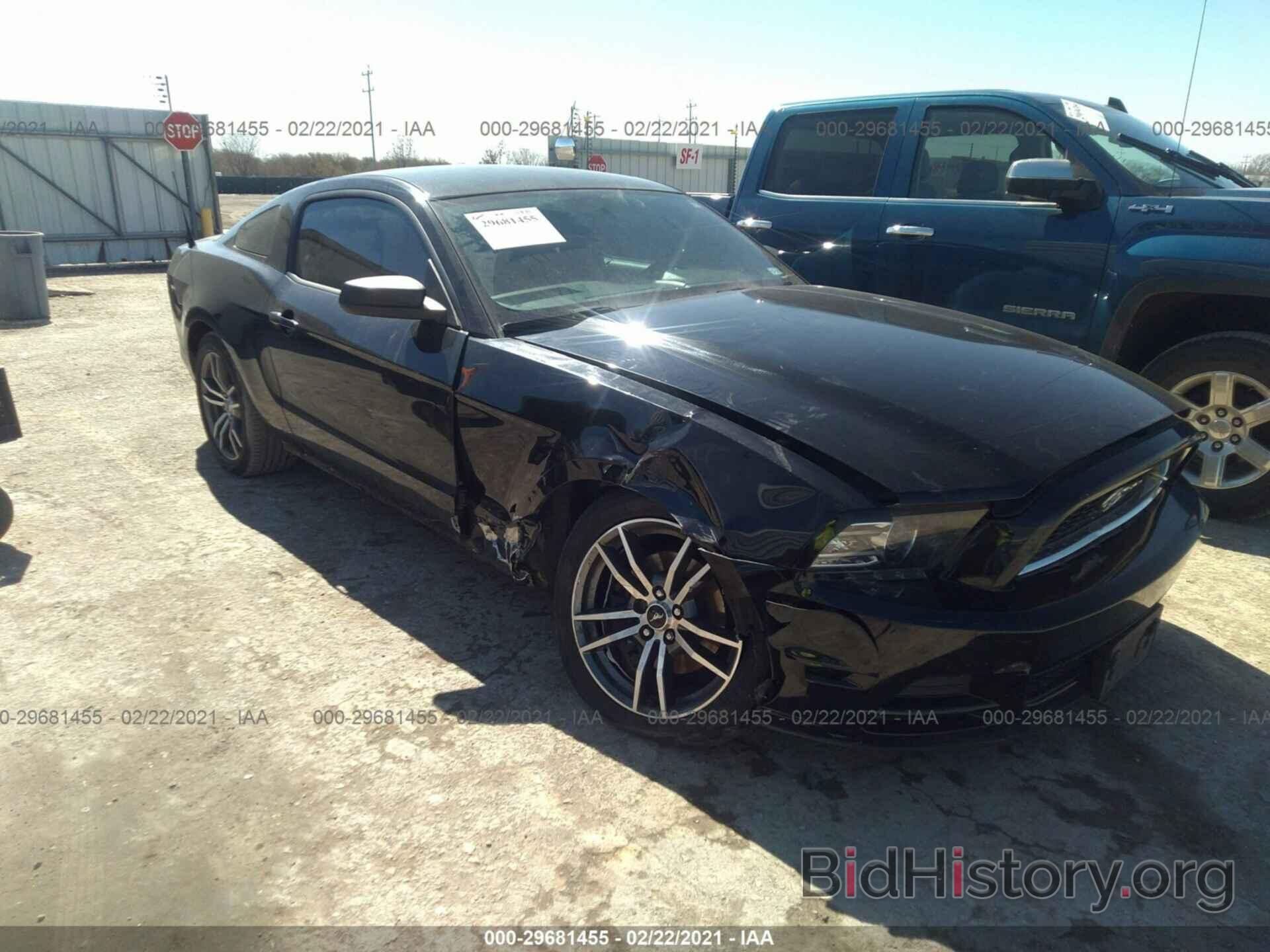 Photo 1ZVBP8AM5E5291798 - FORD MUSTANG 2014