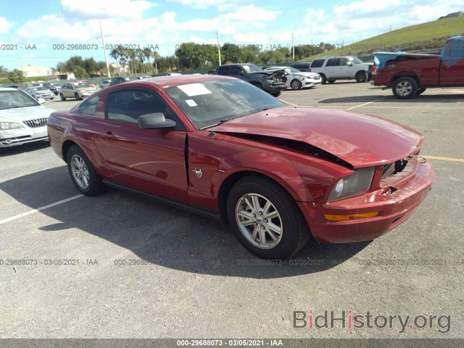 Photo 1ZVHT80N695109449 - FORD MUSTANG 2009