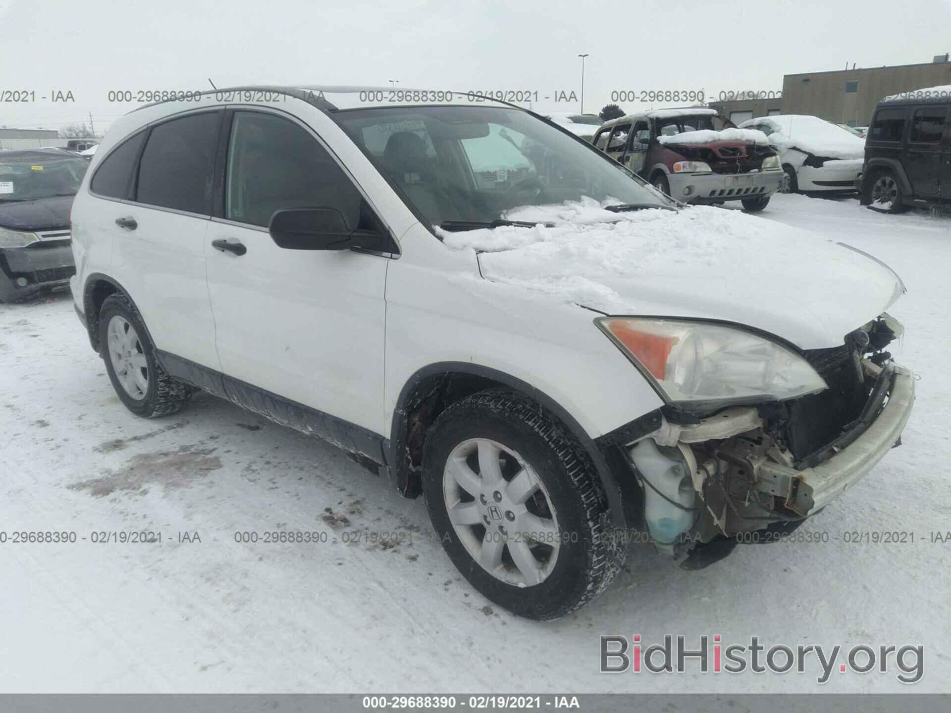 Photo 5J6RE48598L000356 - HONDA CR-V 2008