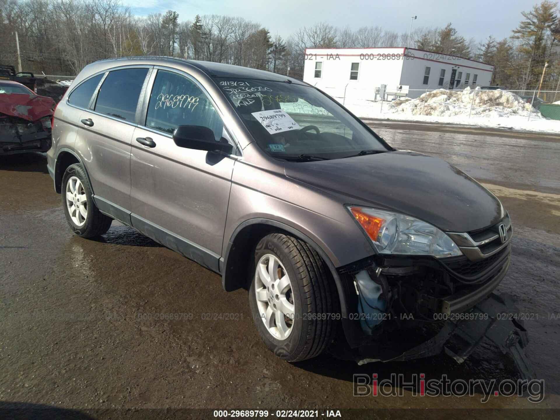 Photo 5J6RE4H42BL008247 - HONDA CR-V 2011