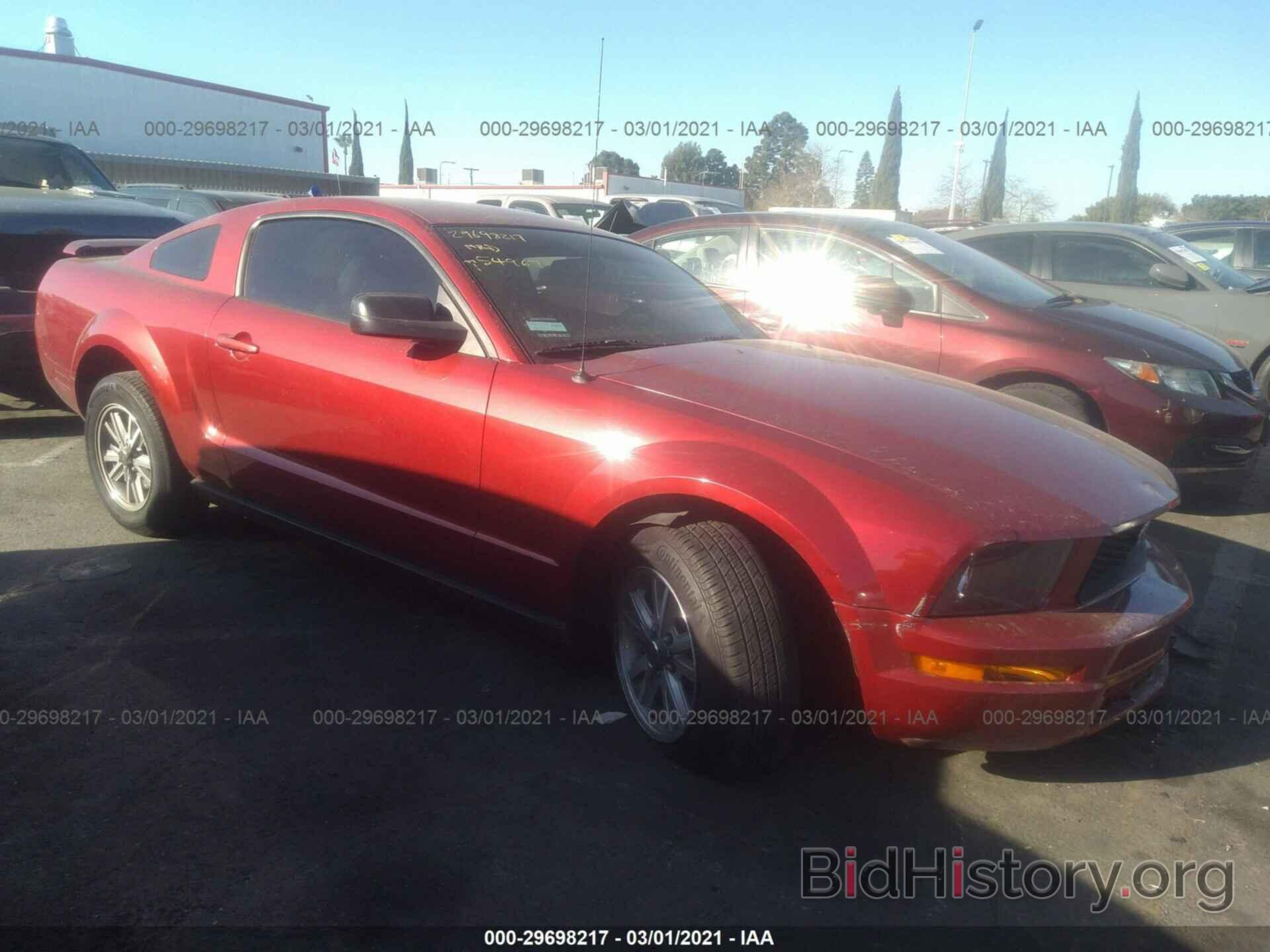 Photo 1ZVHT80N065173403 - FORD MUSTANG 2006