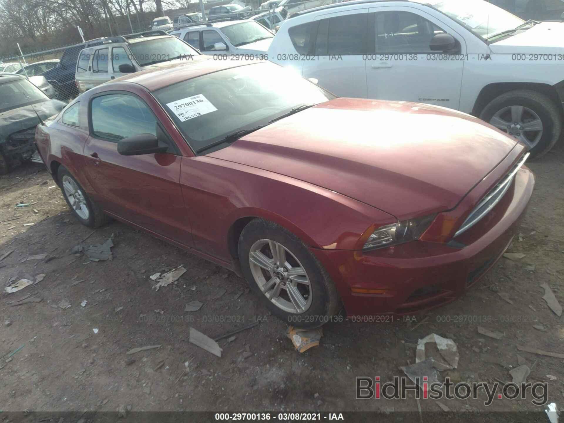 Photo 1ZVBP8AM1E5216953 - FORD MUSTANG 2014