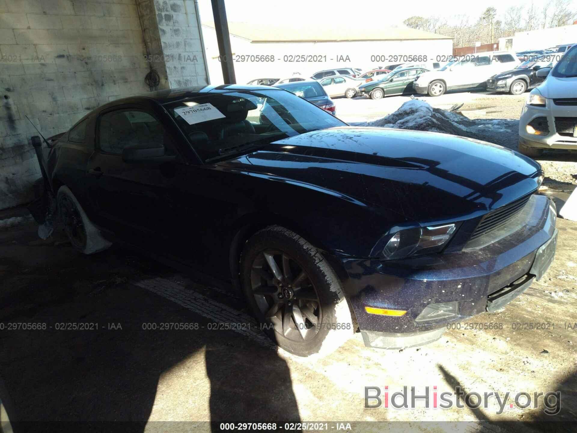 Фотография 1ZVBP8AM8B5132480 - FORD MUSTANG 2011