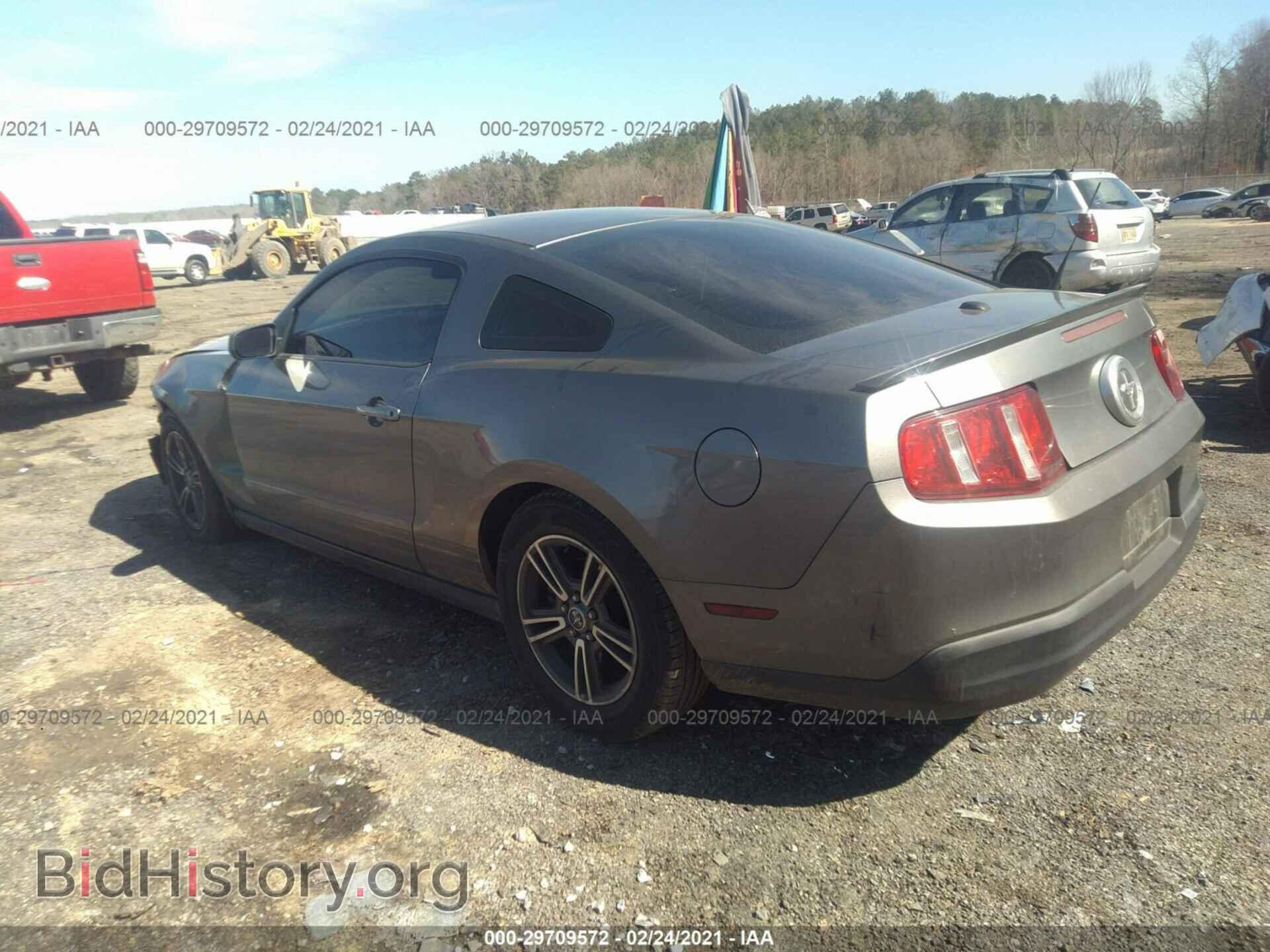 2010 FORD MUSTANG - VIN: 1ZVBP8AN0A5127586 - Фото 3