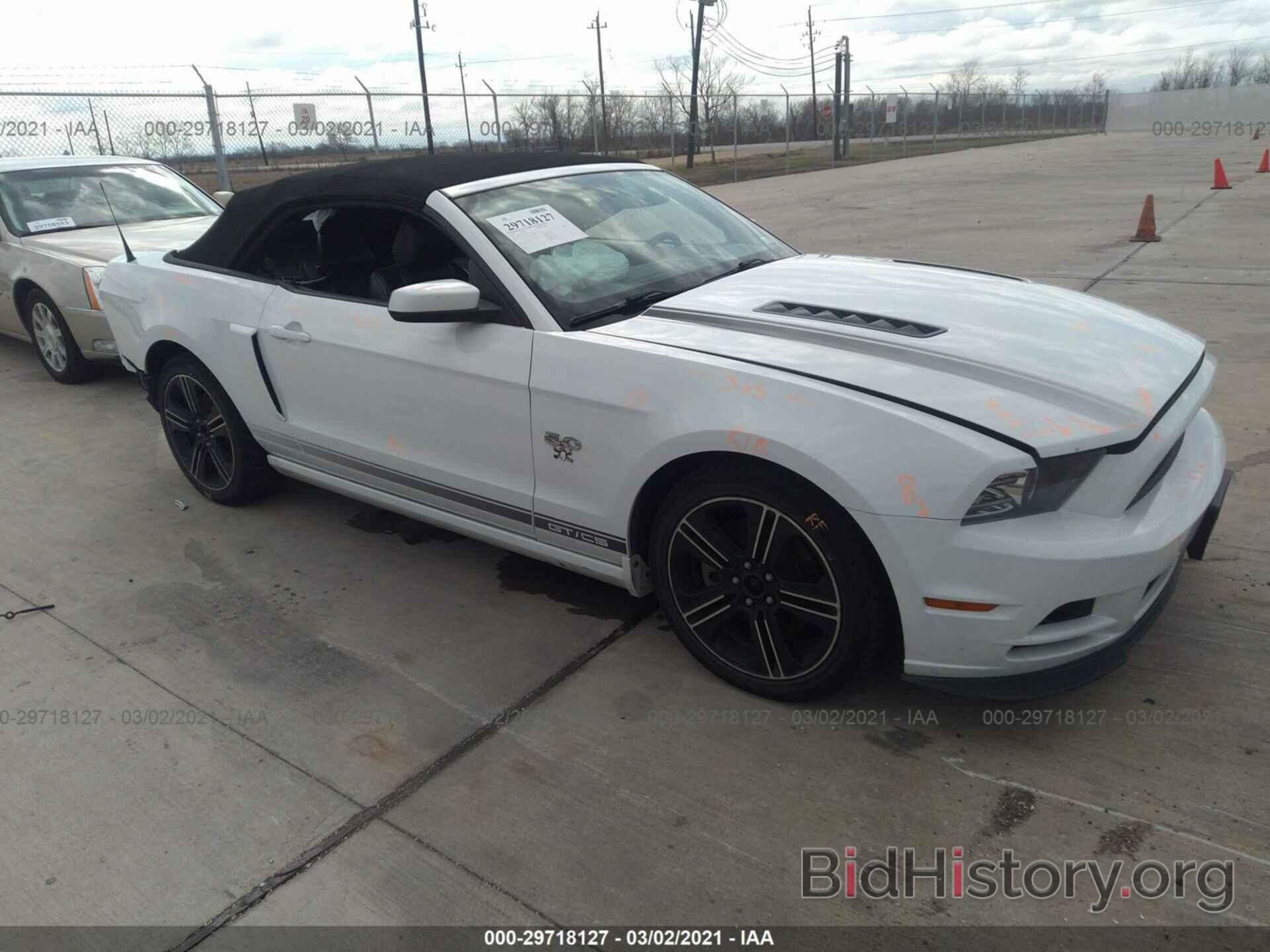 Photo 1ZVBP8FF7E5251300 - FORD MUSTANG 2014