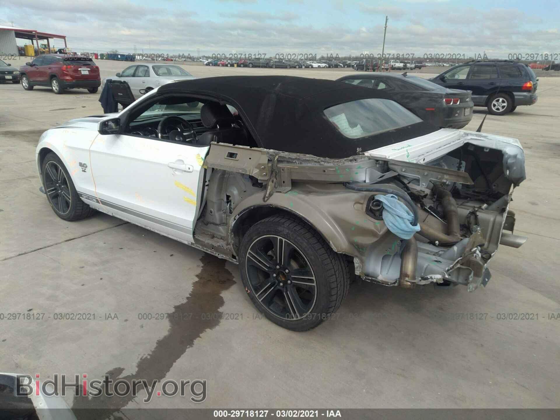 2014 FORD MUSTANG - VIN: 1ZVBP8FF7E5251300 - Фото 3