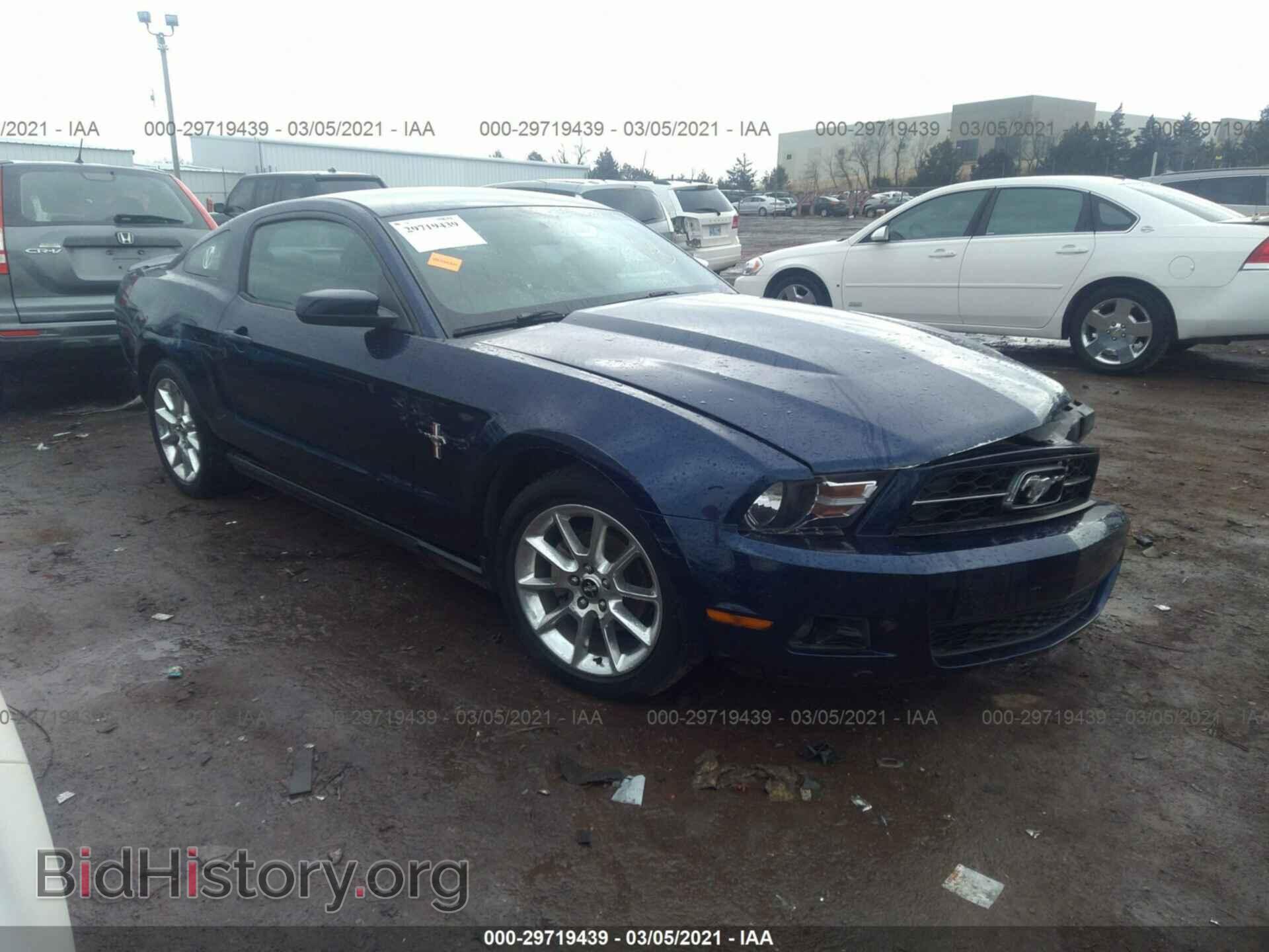 Фотография 1ZVBP8AN2A5176062 - FORD MUSTANG 2010
