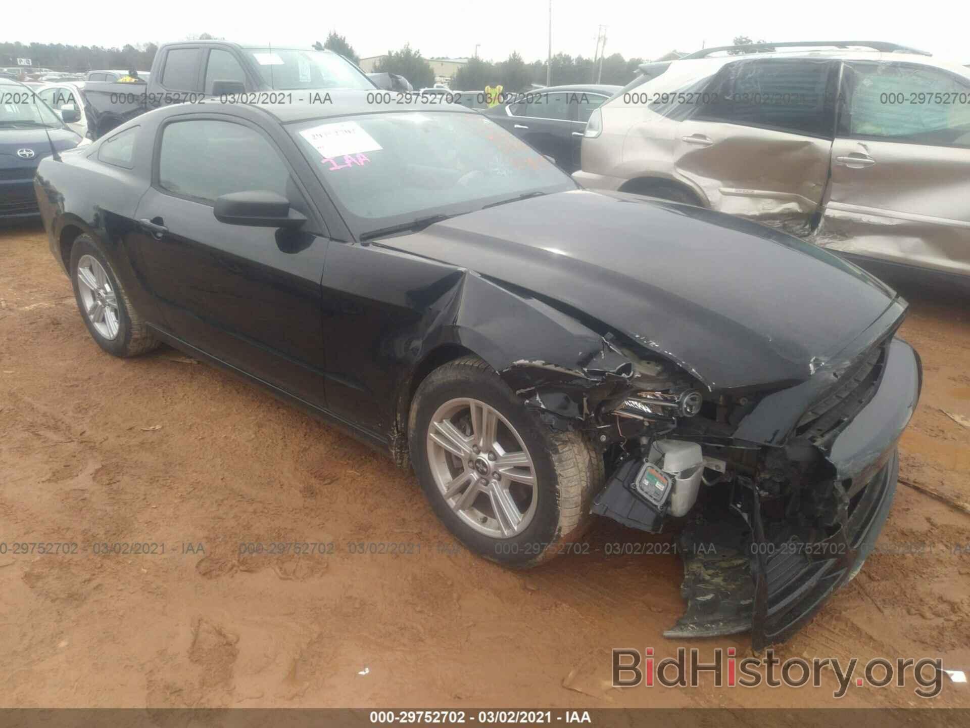 Photo 1ZVBP8AM3E5325253 - FORD MUSTANG 2014