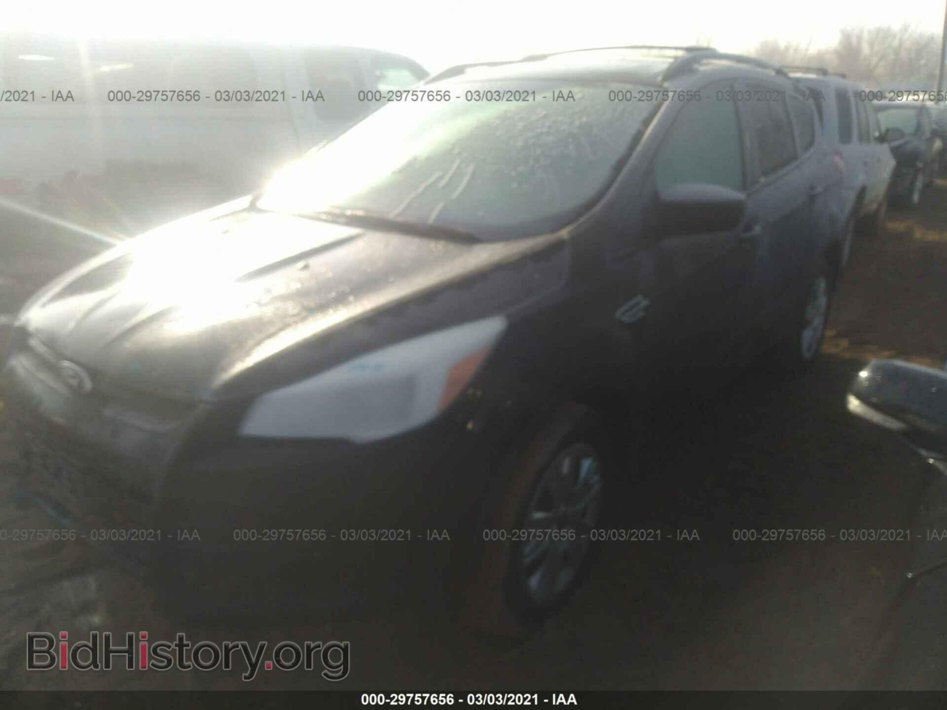 2013 FORD ESCAPE - VIN: 1FMCU0F72DUA08374 - Фото 2