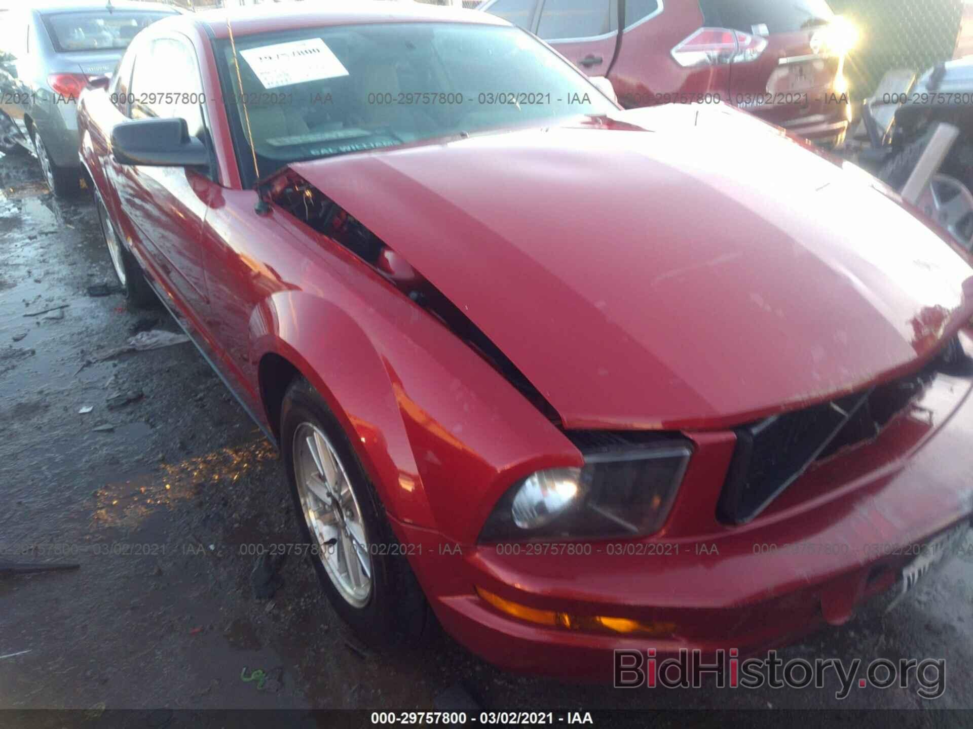 Photo 1ZVHT80N985193636 - FORD MUSTANG 2008