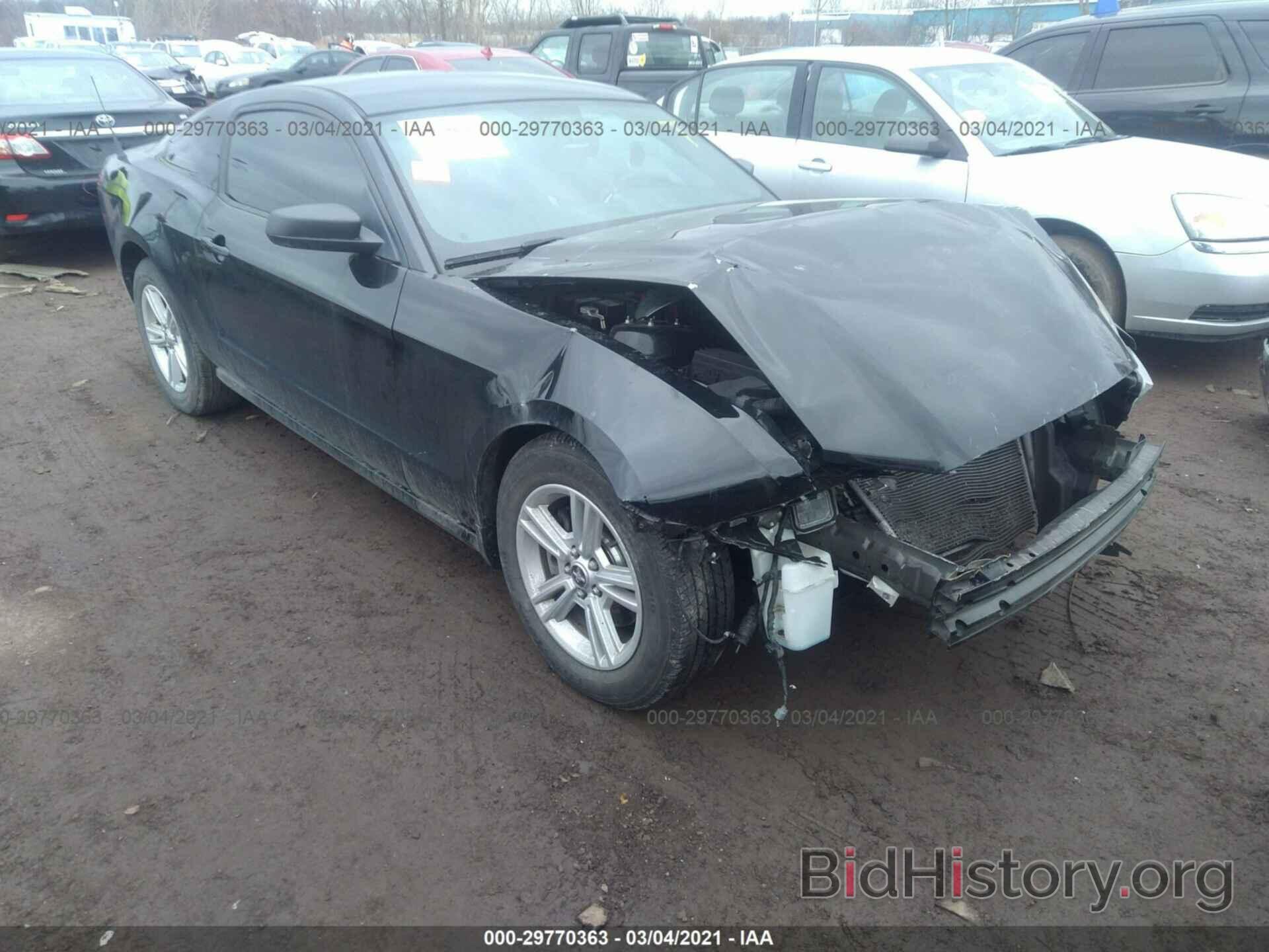 Photo 1ZVBP8AM8E5263283 - FORD MUSTANG 2014