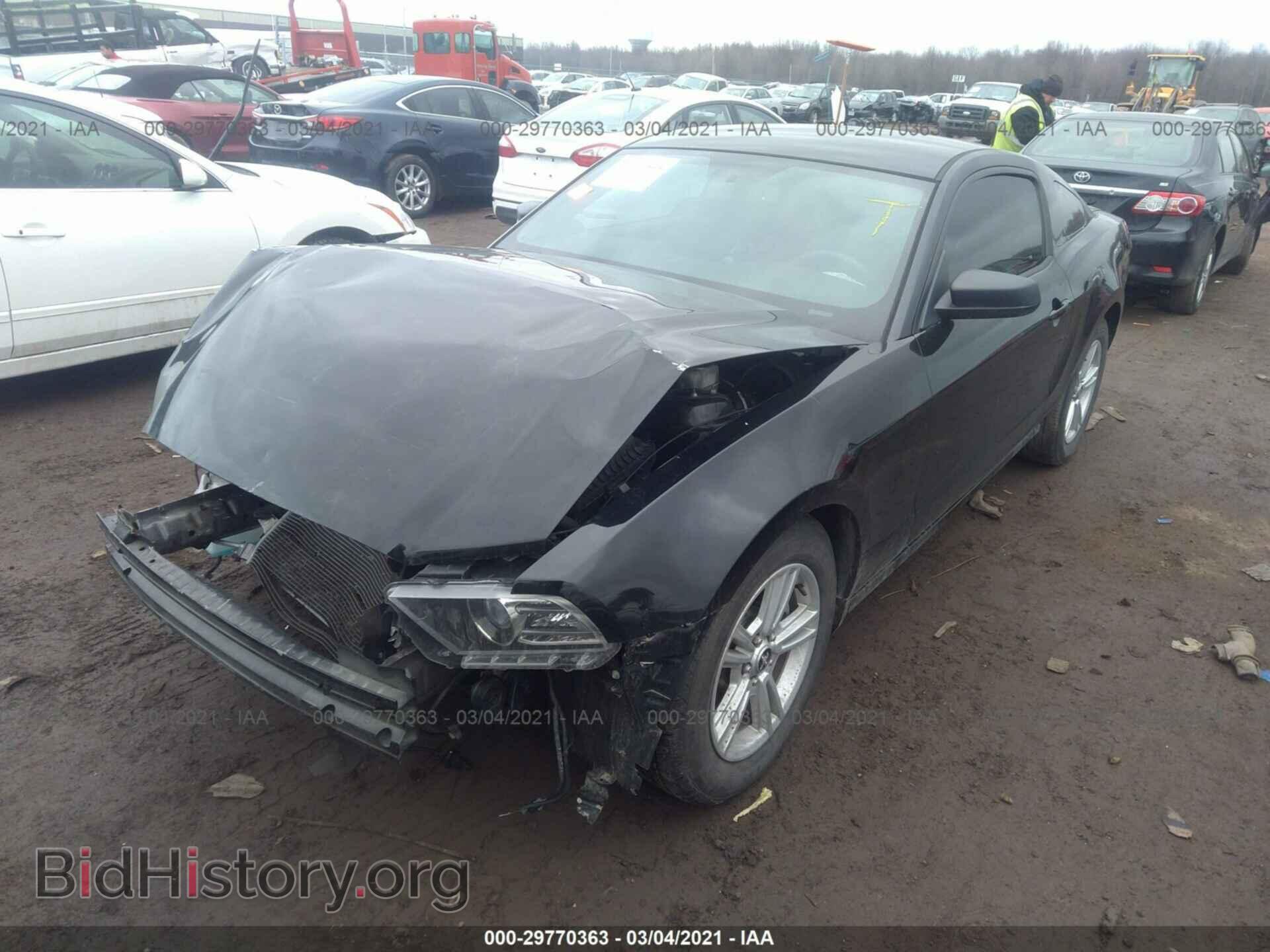 2014 FORD MUSTANG - VIN: 1ZVBP8AM8E5263283 - Фото 2