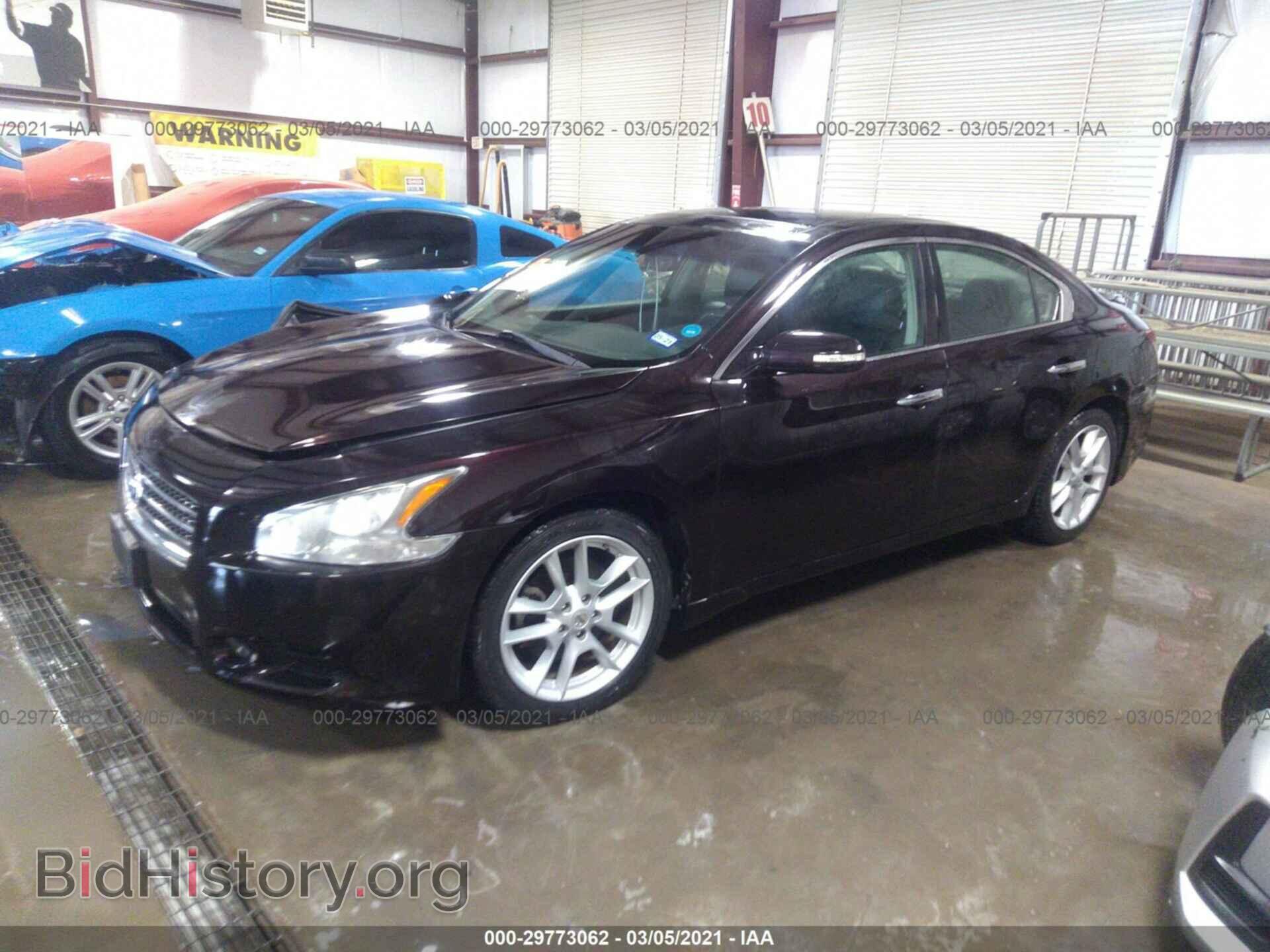 2010 NISSAN MAXIMA - VIN: 1N4AA5AP2AC857775 - Фото 2