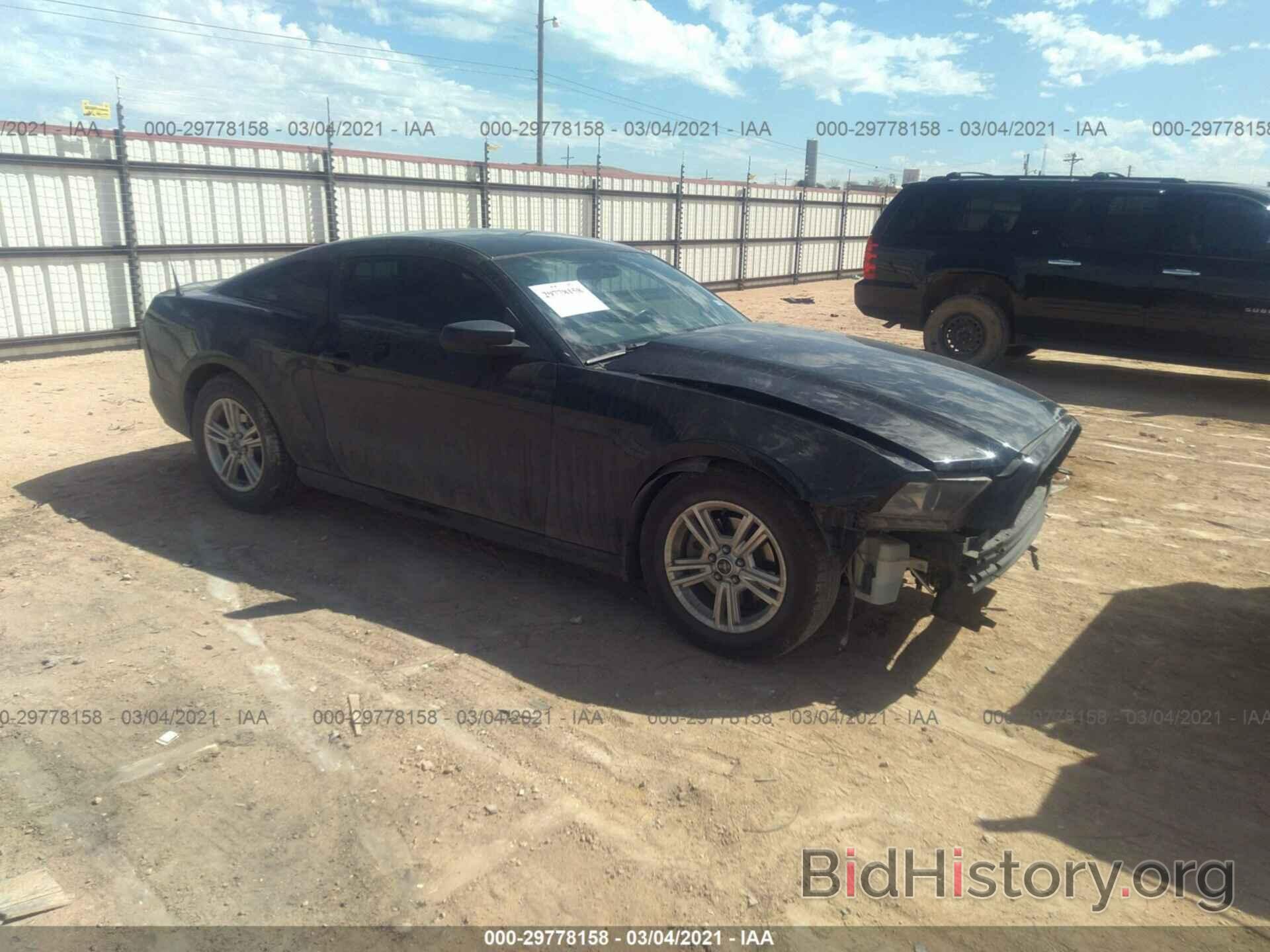 Photo 1ZVBP8AM9E5215114 - FORD MUSTANG 2014