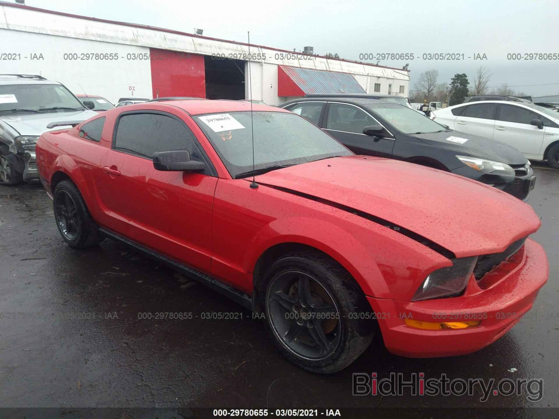 Photo 1ZVHT80N385163662 - FORD MUSTANG 2008