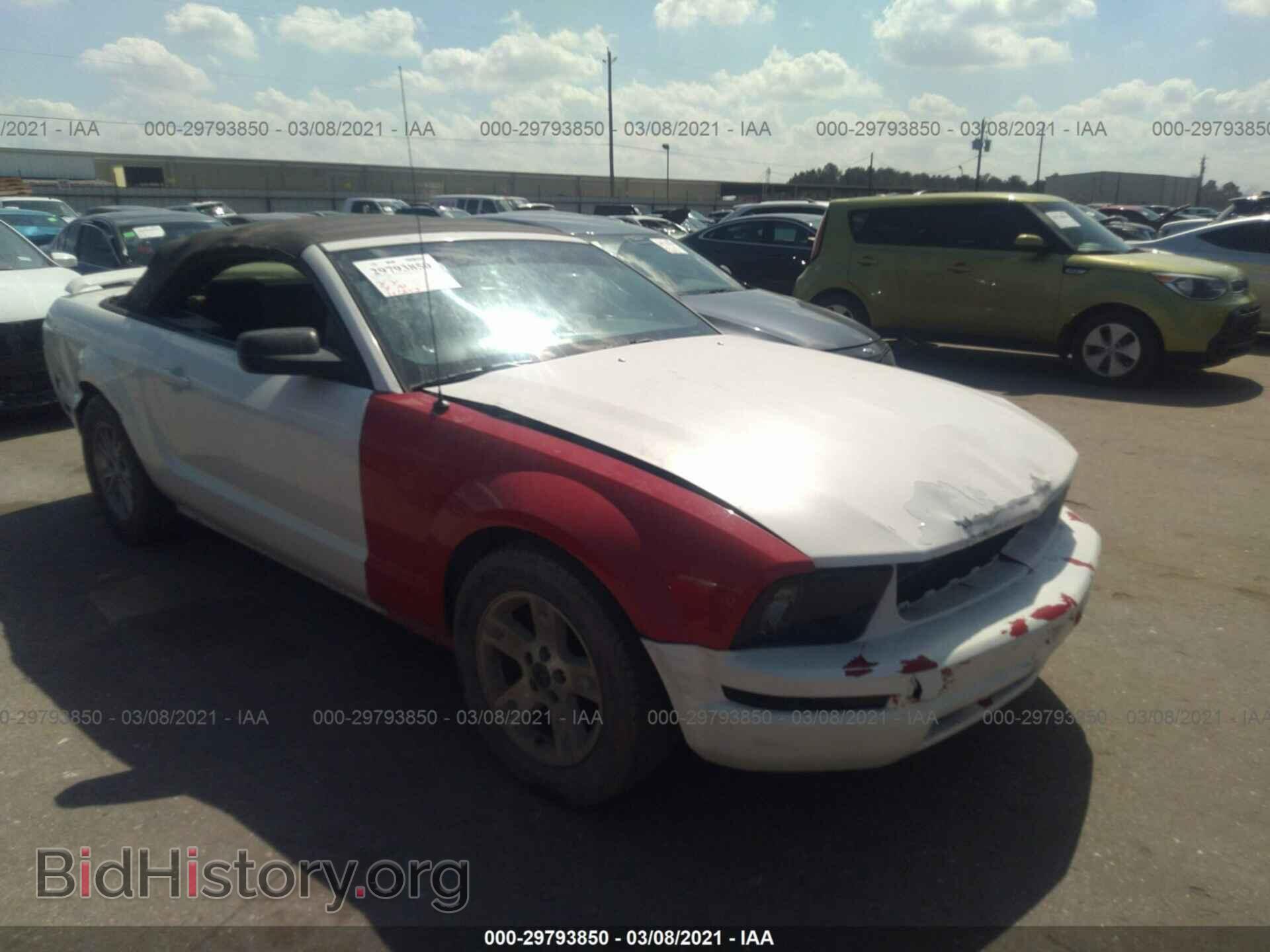 Фотография 1ZVHT84N295108146 - FORD MUSTANG 2009