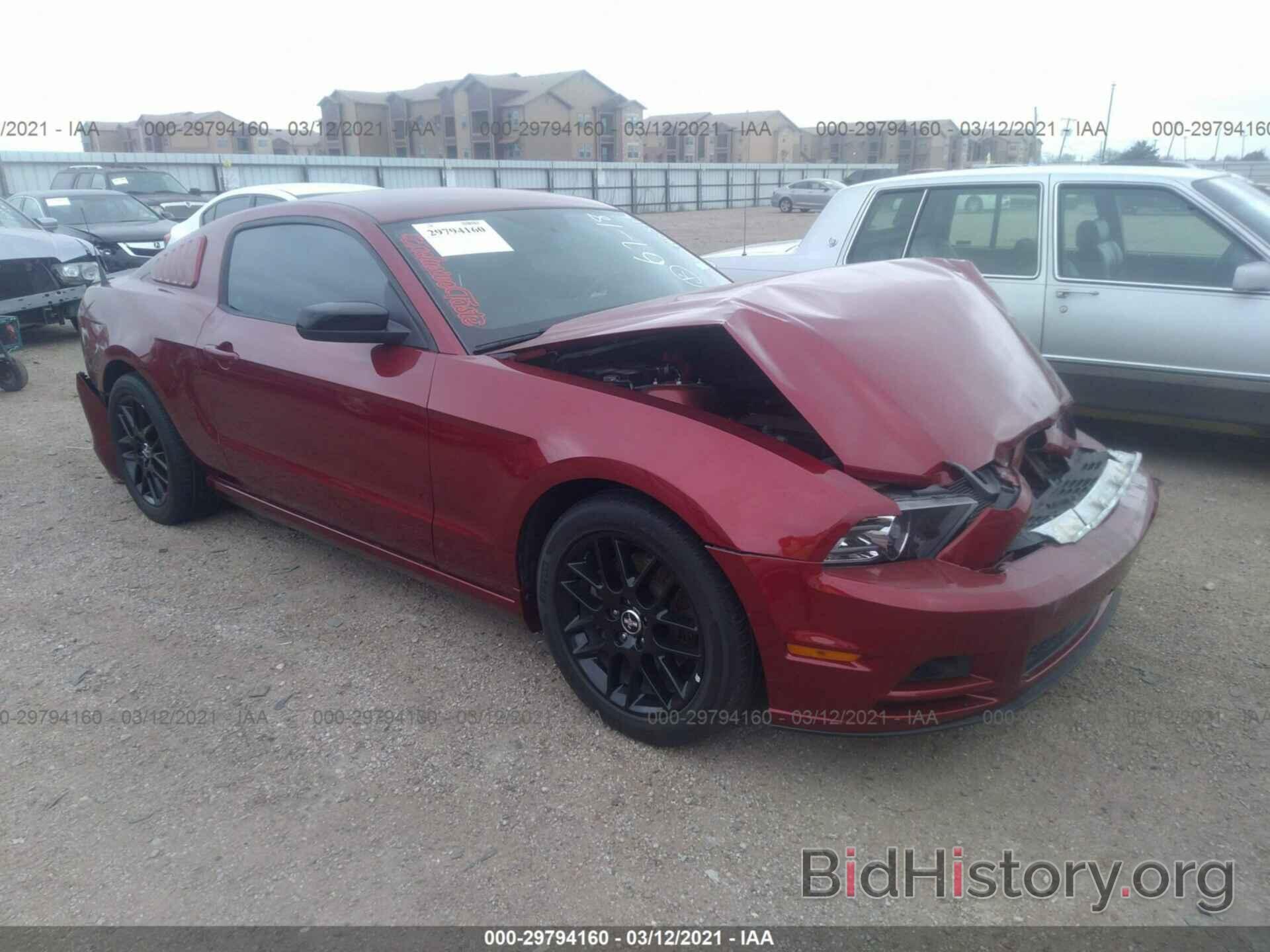 Photo 1ZVBP8AM8E5320954 - FORD MUSTANG 2014