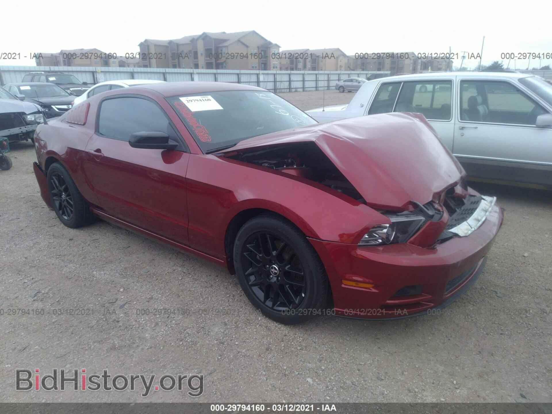 Фотография 1ZVBP8AM8E5320954 - FORD MUSTANG 2014