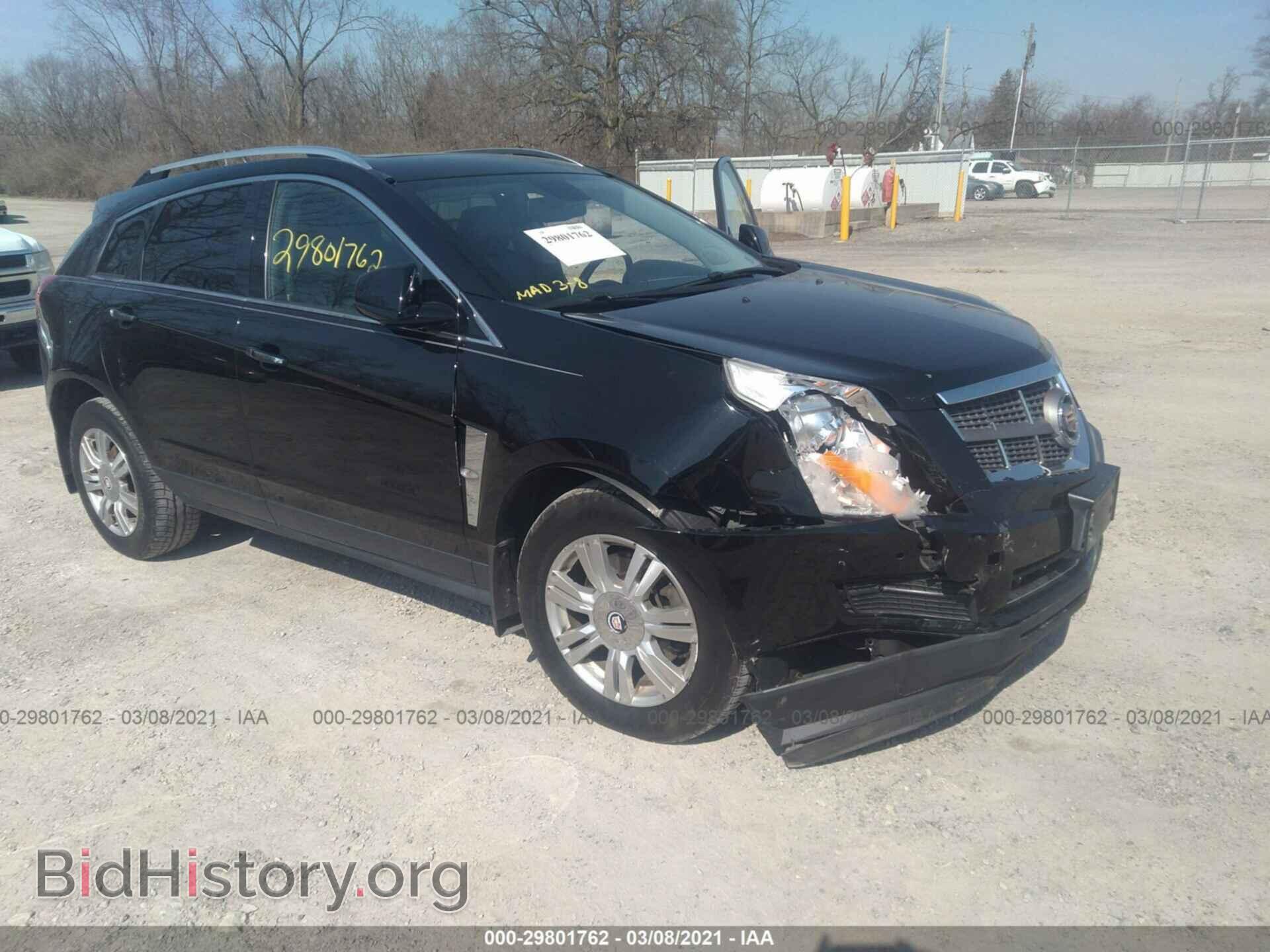 Photo 3GYFNAEY2BS614599 - CADILLAC SRX 2011