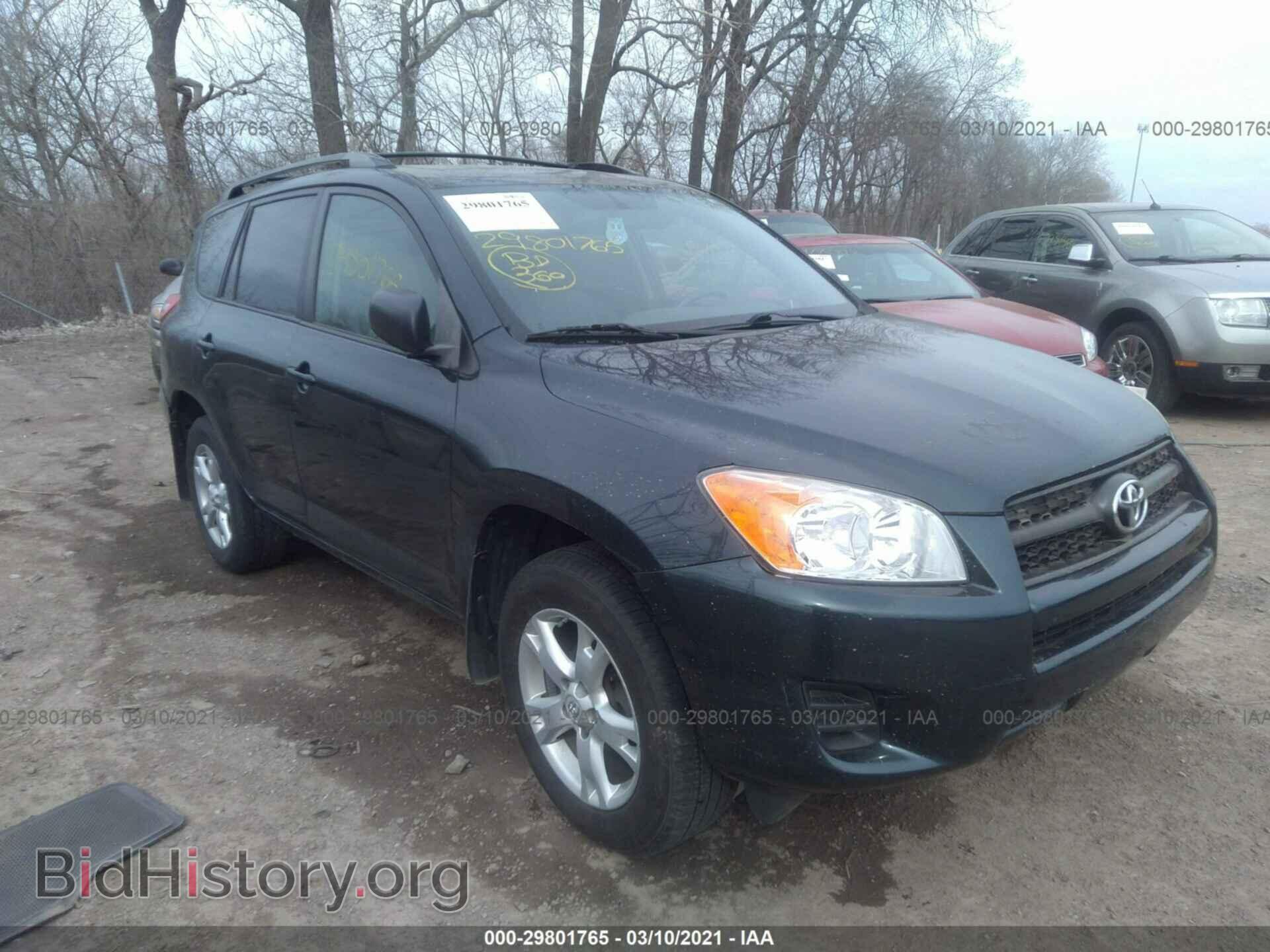 Фотография 2T3BF4DV6BW093030 - TOYOTA RAV4 2011