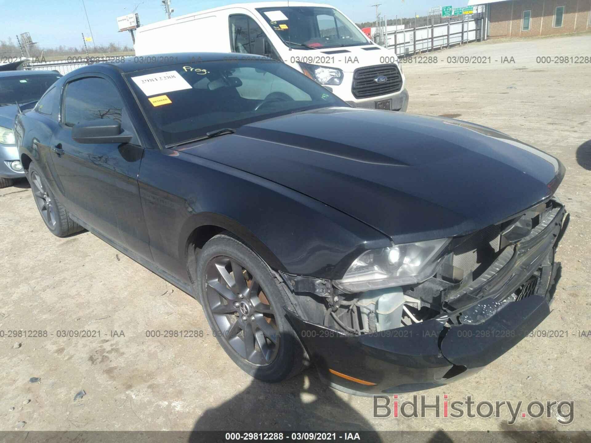 Photo 1ZVBP8AM6B5101647 - FORD MUSTANG 2011