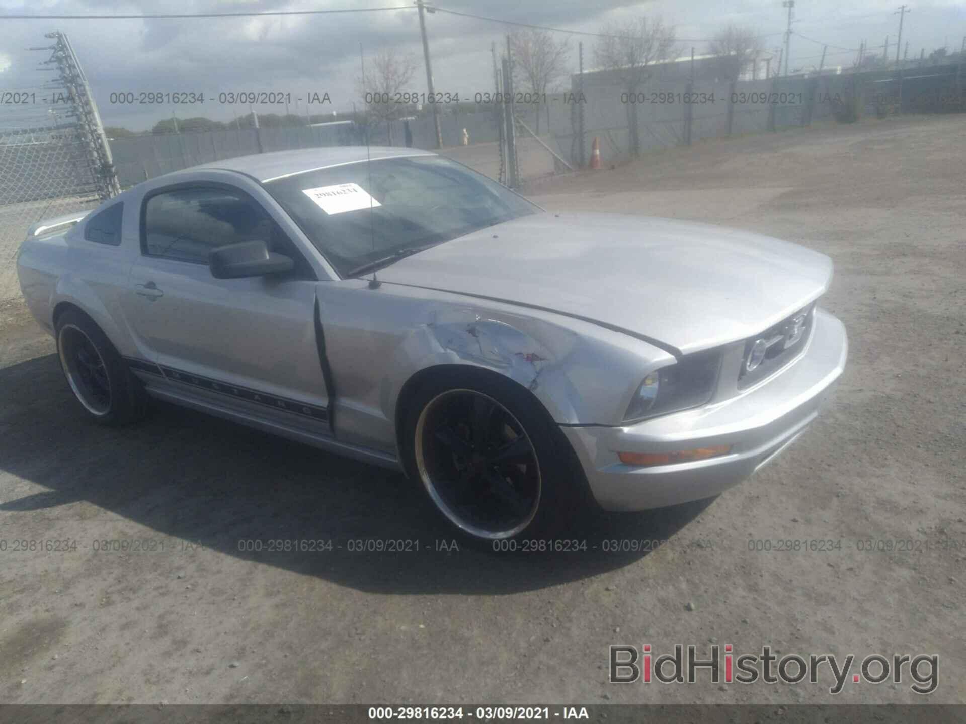 Photo 1ZVHT80N665140762 - FORD MUSTANG 2006