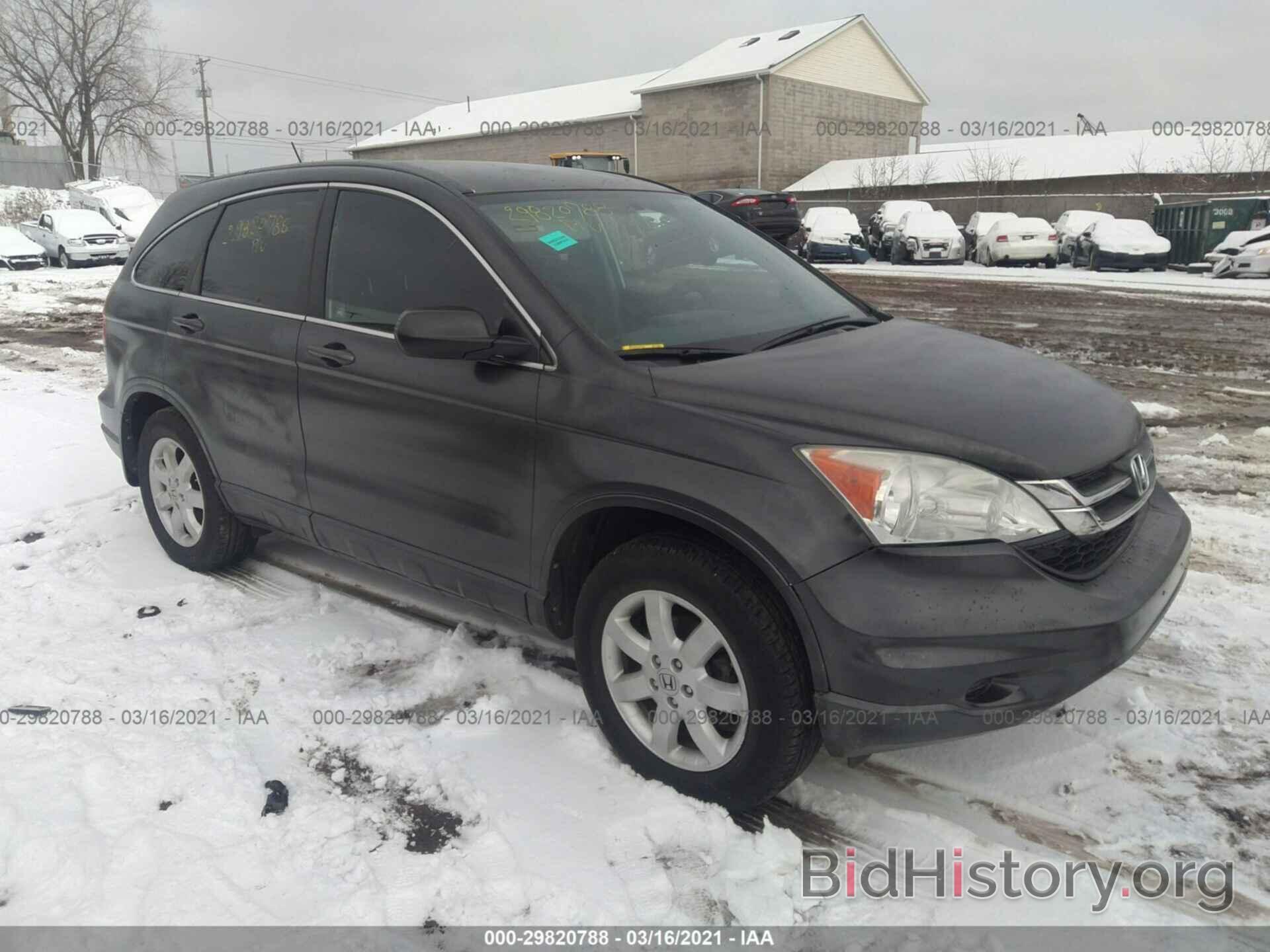 Photo 5J6RE4H43BL009083 - HONDA CR-V 2011