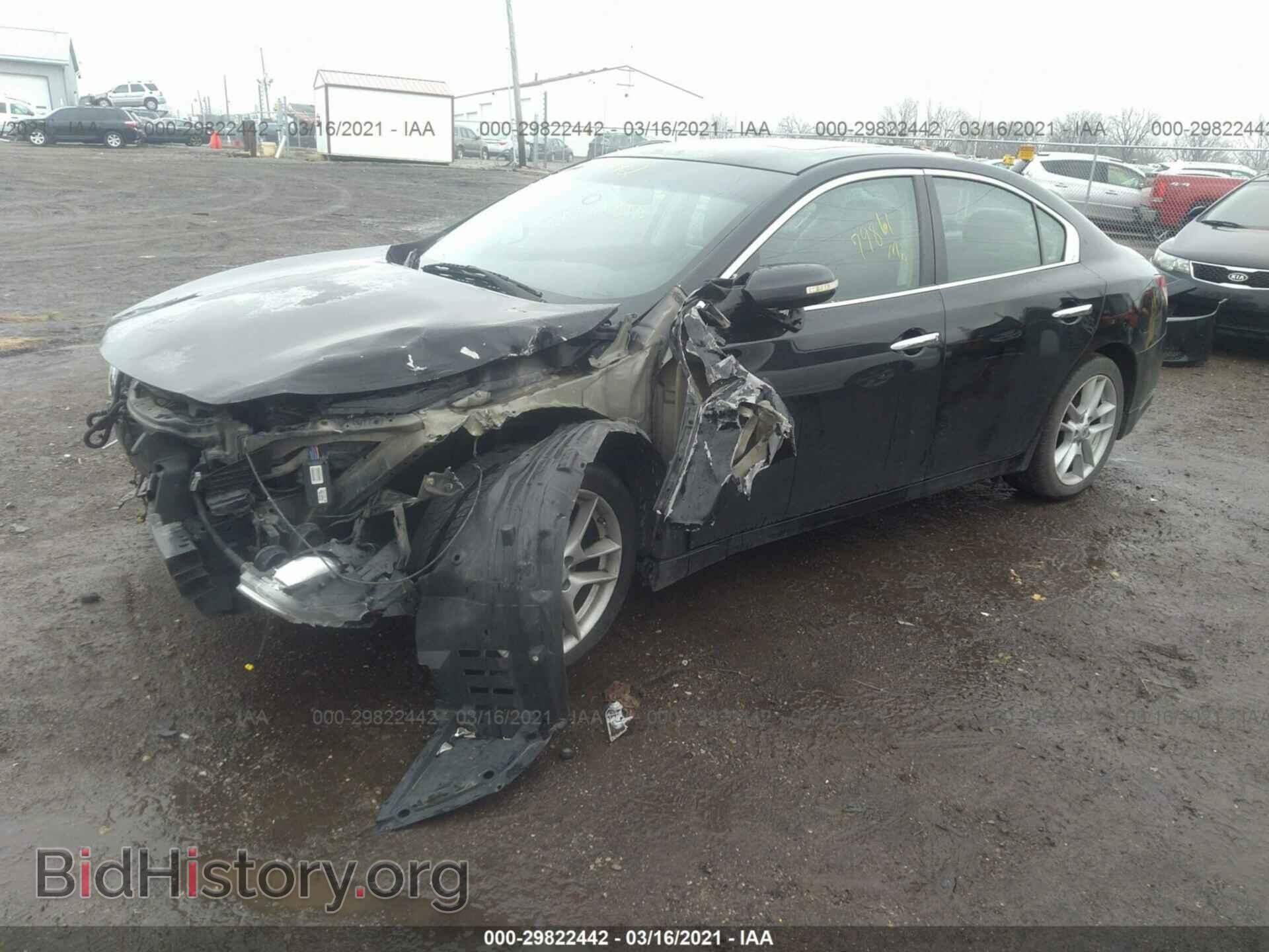2010 NISSAN MAXIMA - VIN: 1N4AA5AP1AC825769 - Фото 2