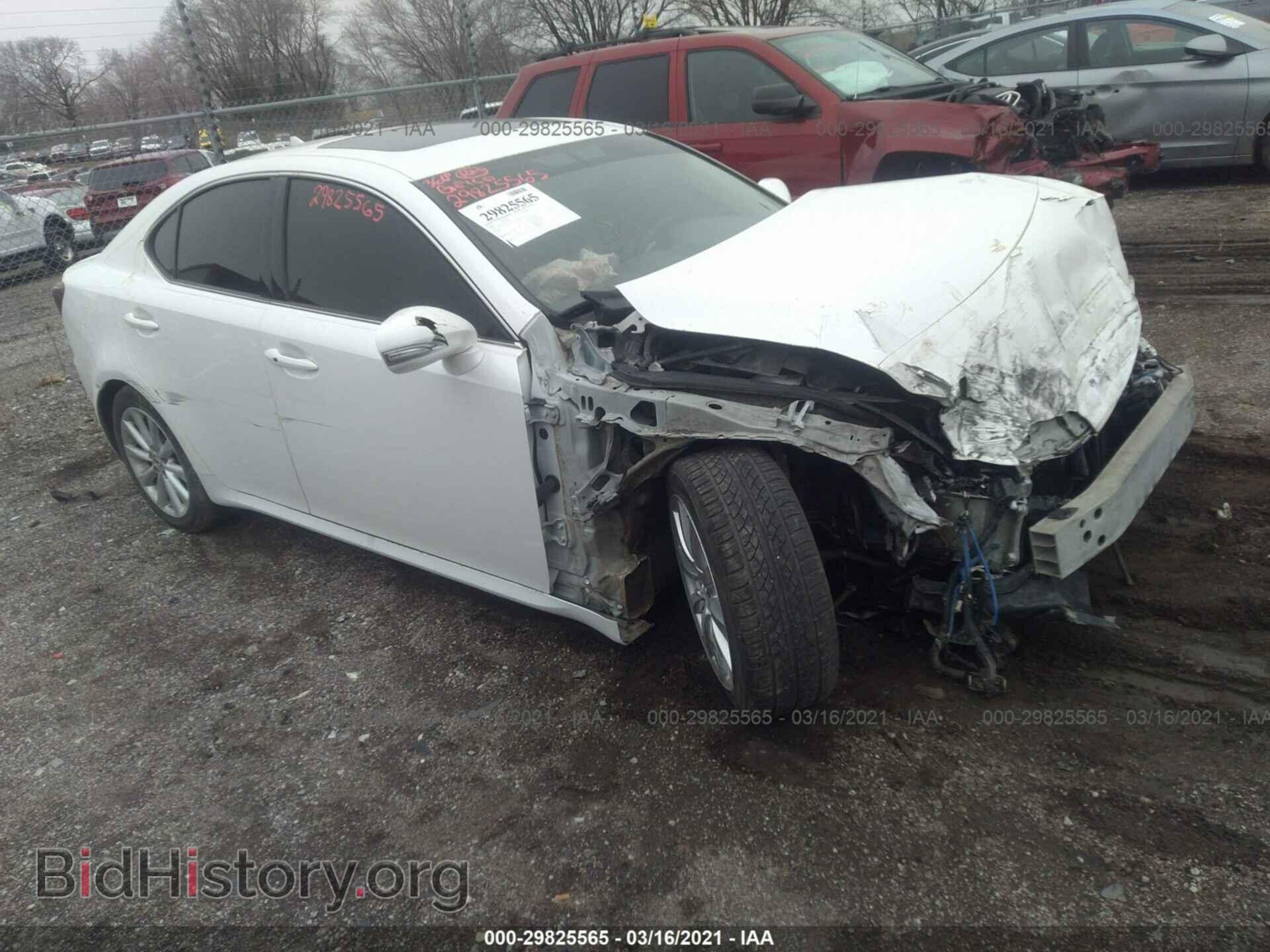 Фотография JTHBK262095101285 - LEXUS IS 250 2009