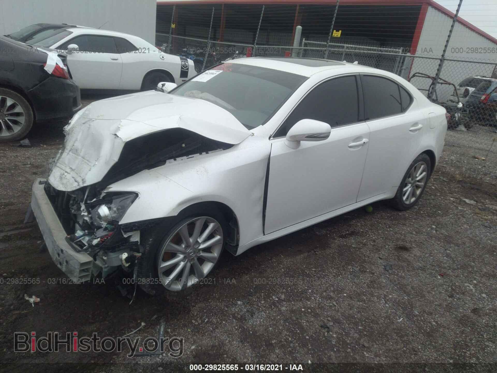 2009 LEXUS IS 250 - VIN: JTHBK262095101285 - Фото 2