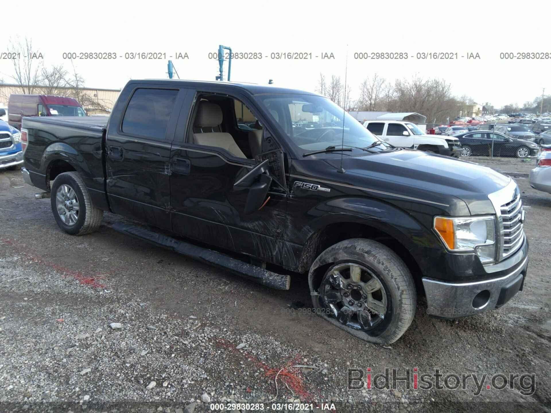 Photo 1FTEW1C80AFD53672 - FORD F-150 2010