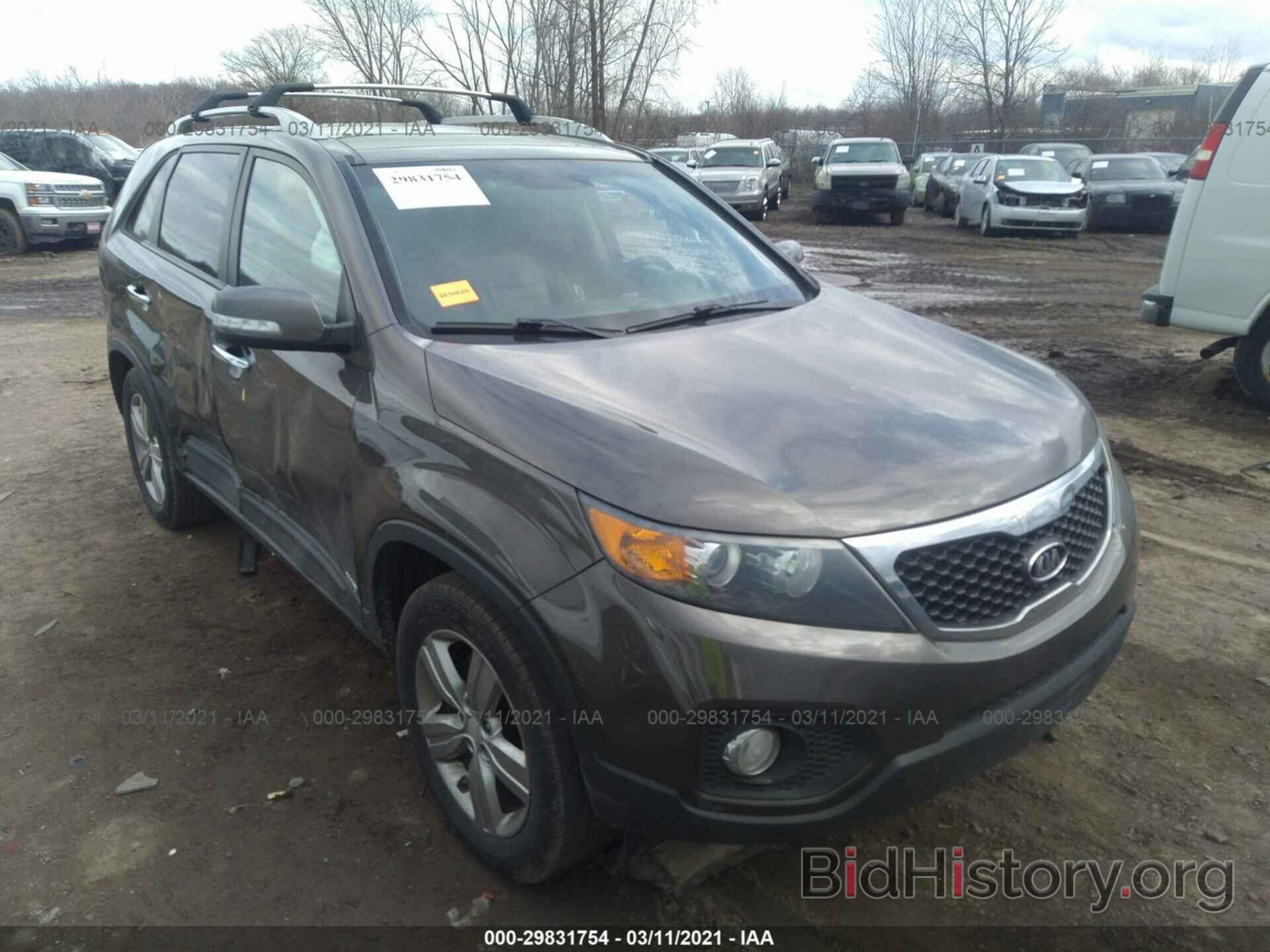 Фотография 5XYKUDA21DG316348 - KIA SORENTO 2013