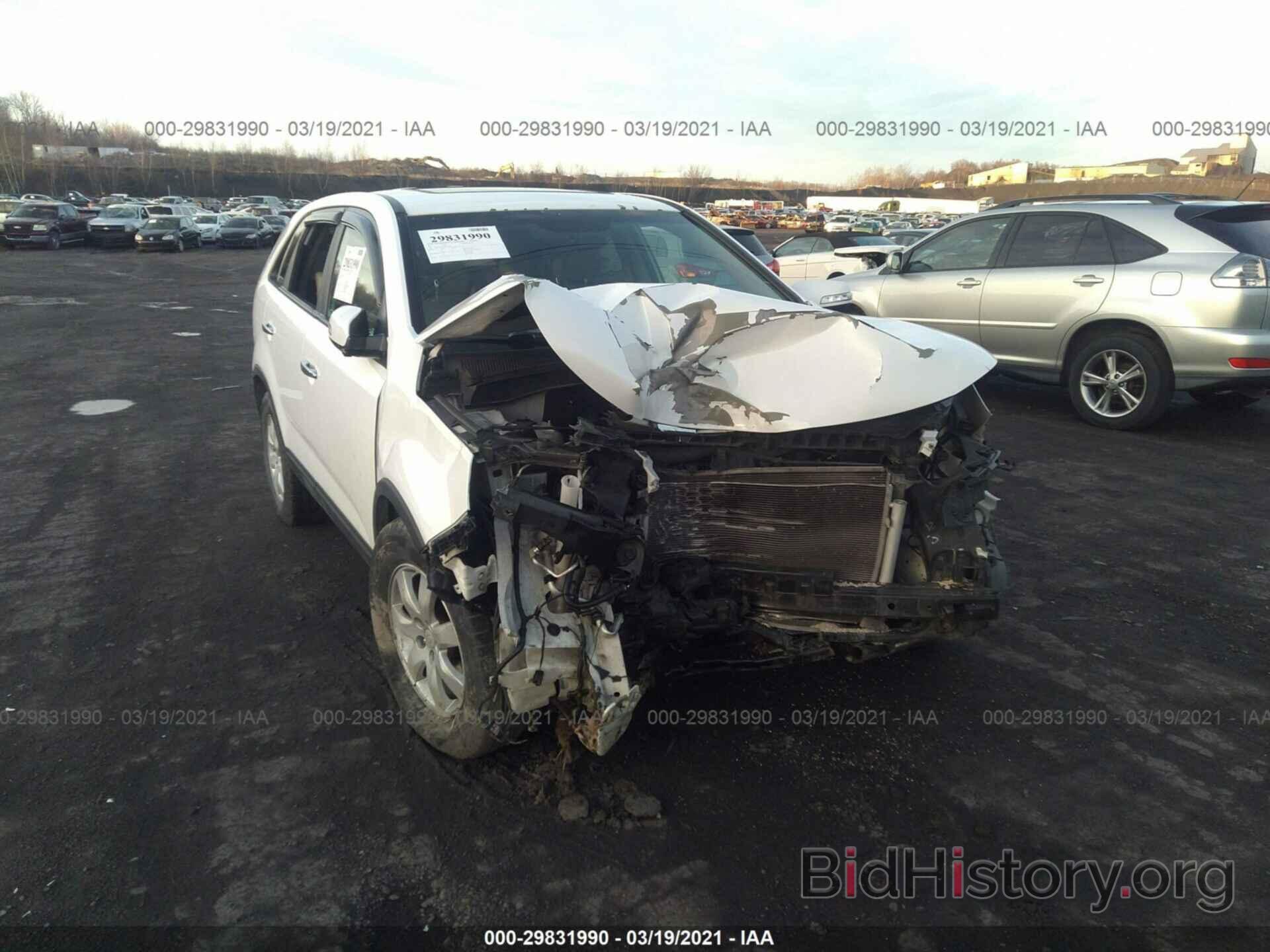 Photo 5XYKTCA11BG011059 - KIA SORENTO 2011