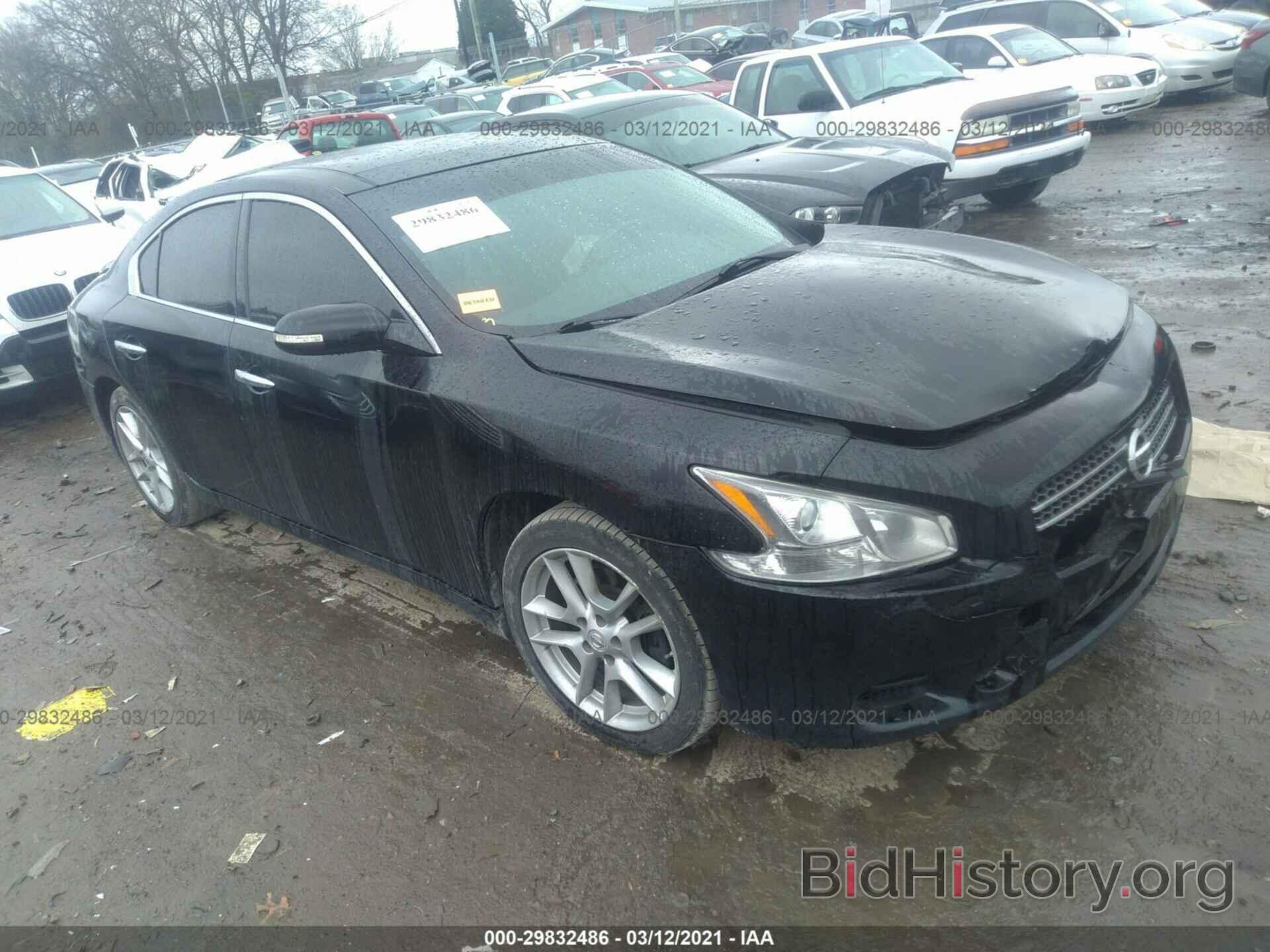 Photo 1N4AA5AP5AC831607 - NISSAN MAXIMA 2010