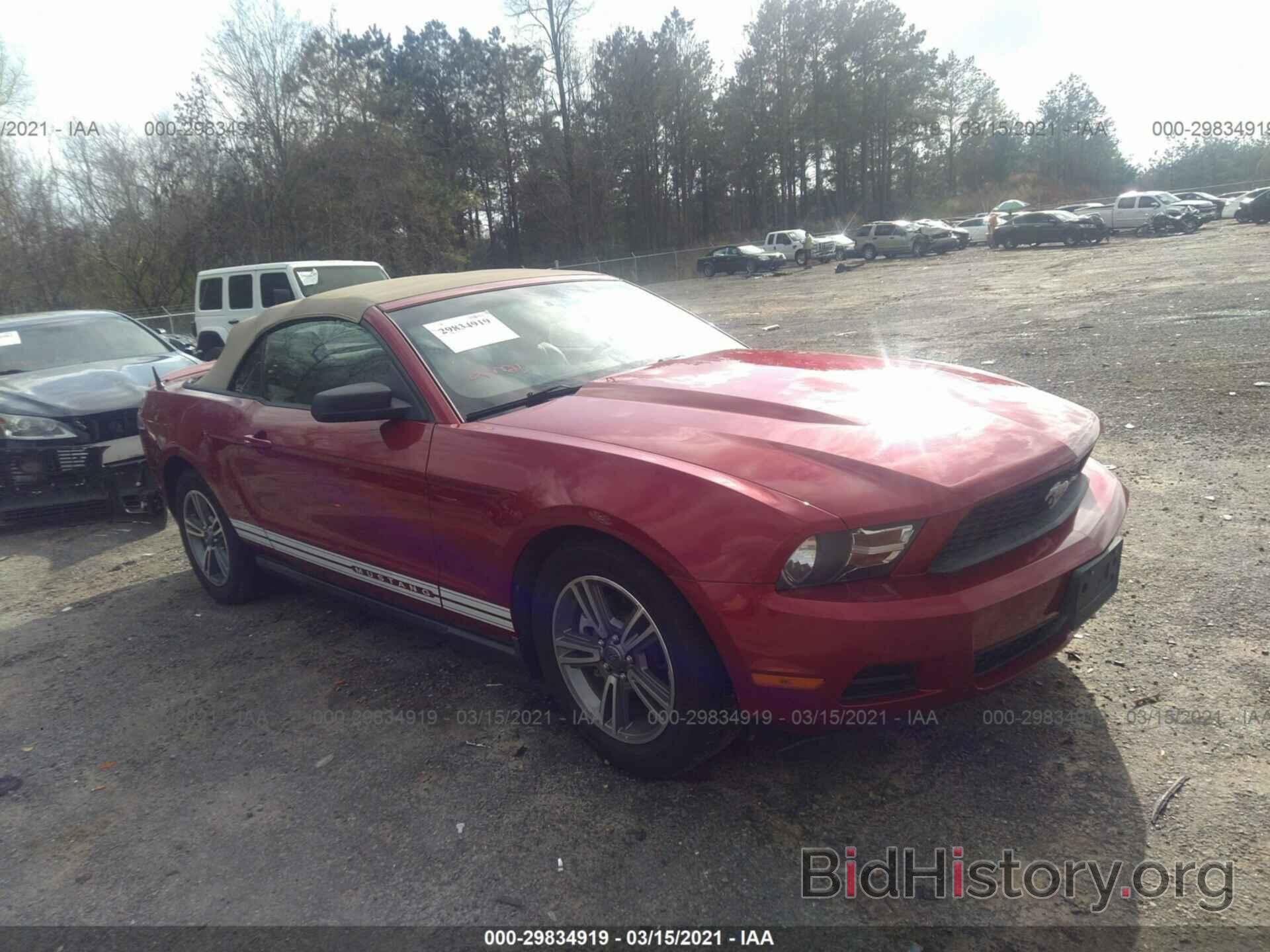 Фотография 1ZVBP8EM5B5120393 - FORD MUSTANG 2011