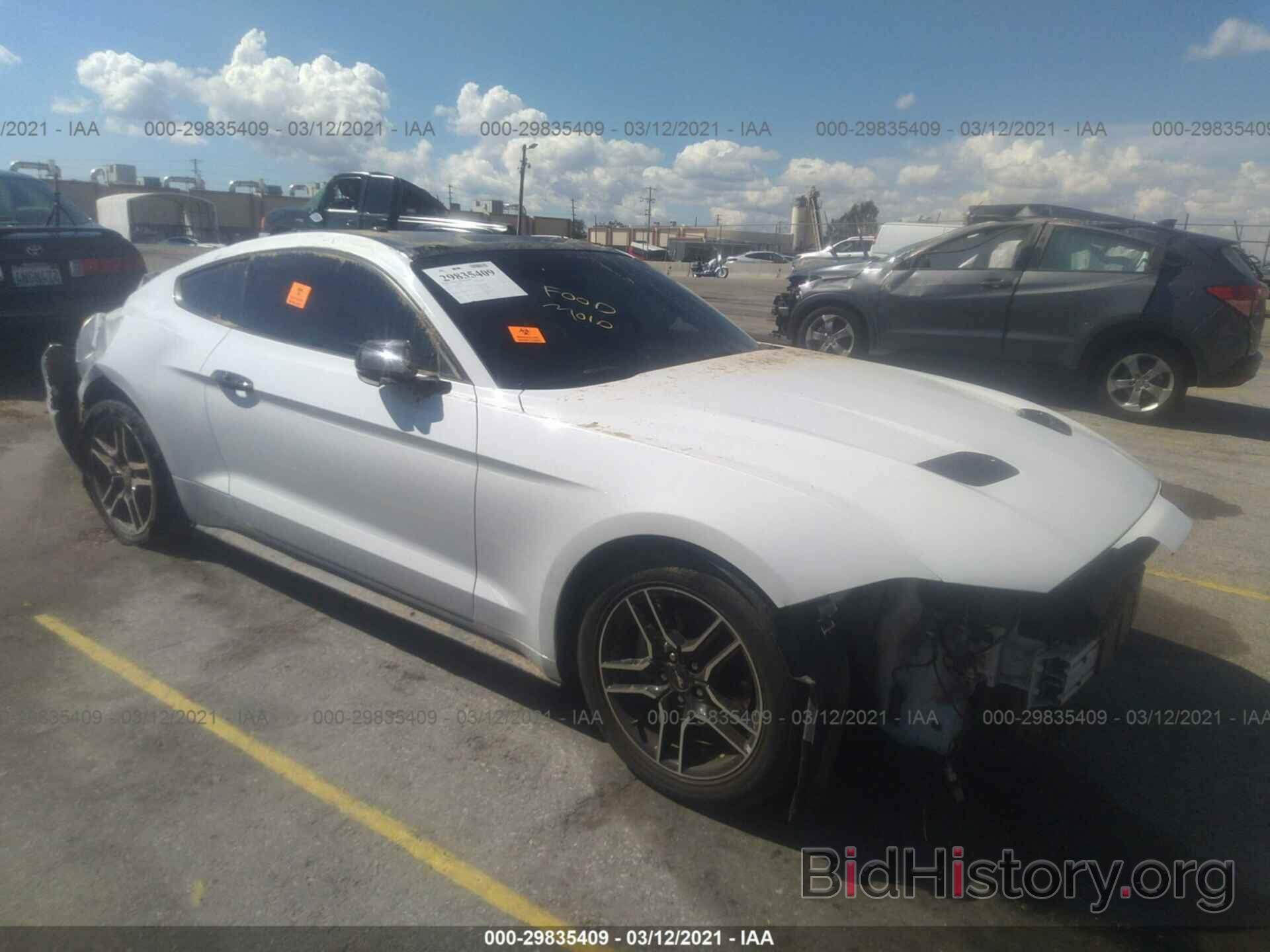Photo 1FA6P8TH8K5151816 - FORD MUSTANG 2019