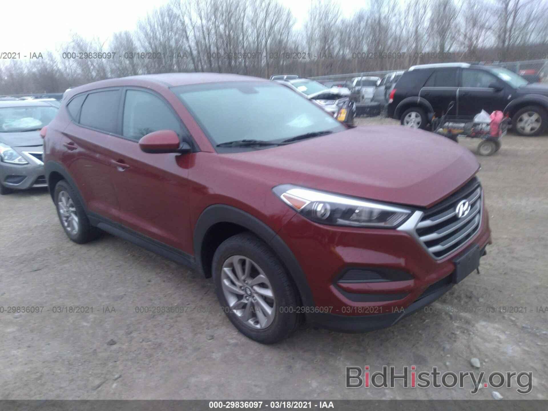 Photo KM8J2CA42JU816702 - HYUNDAI TUCSON 2018