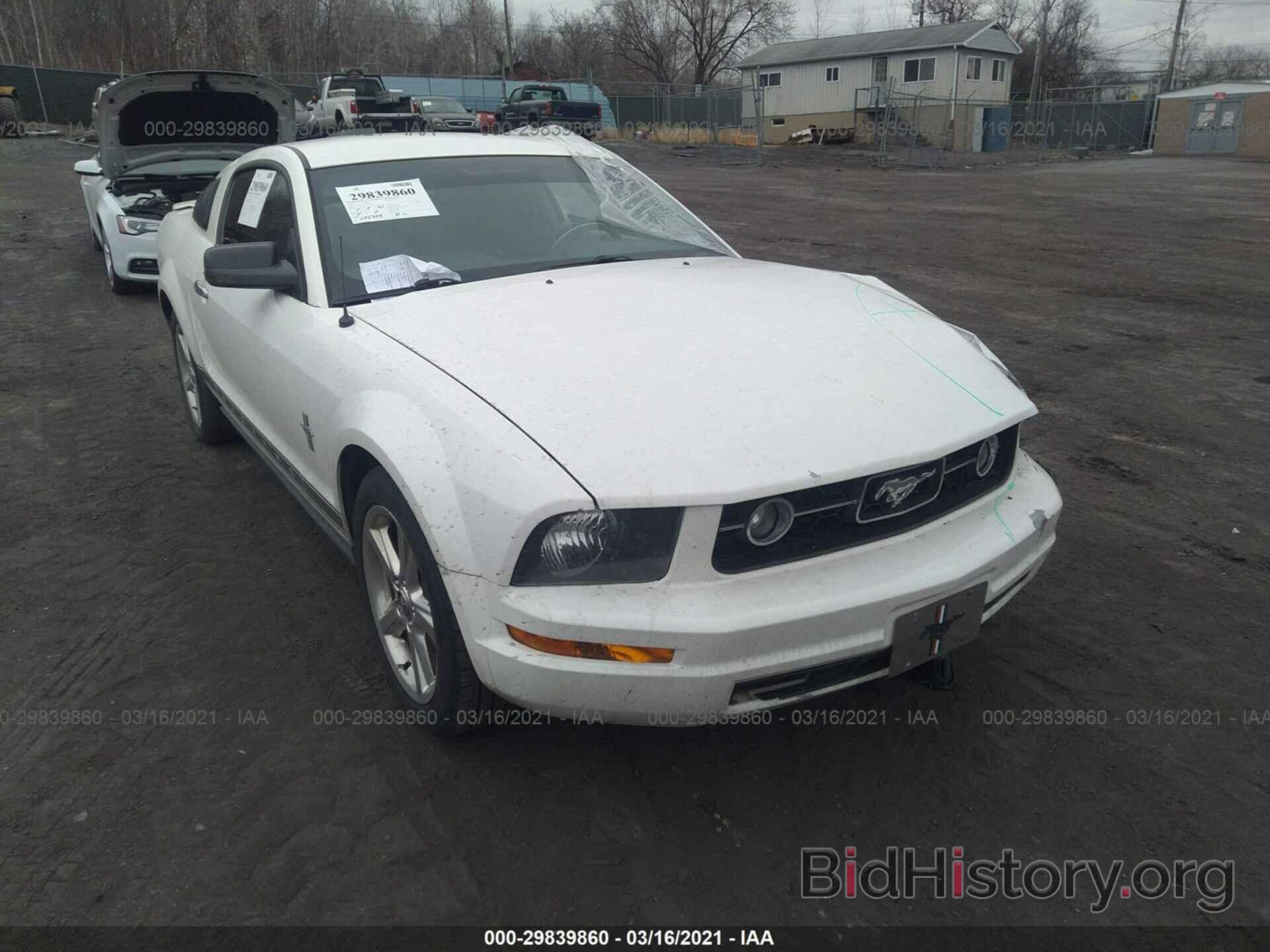 Photo 1ZVHT80N285127896 - FORD MUSTANG 2008