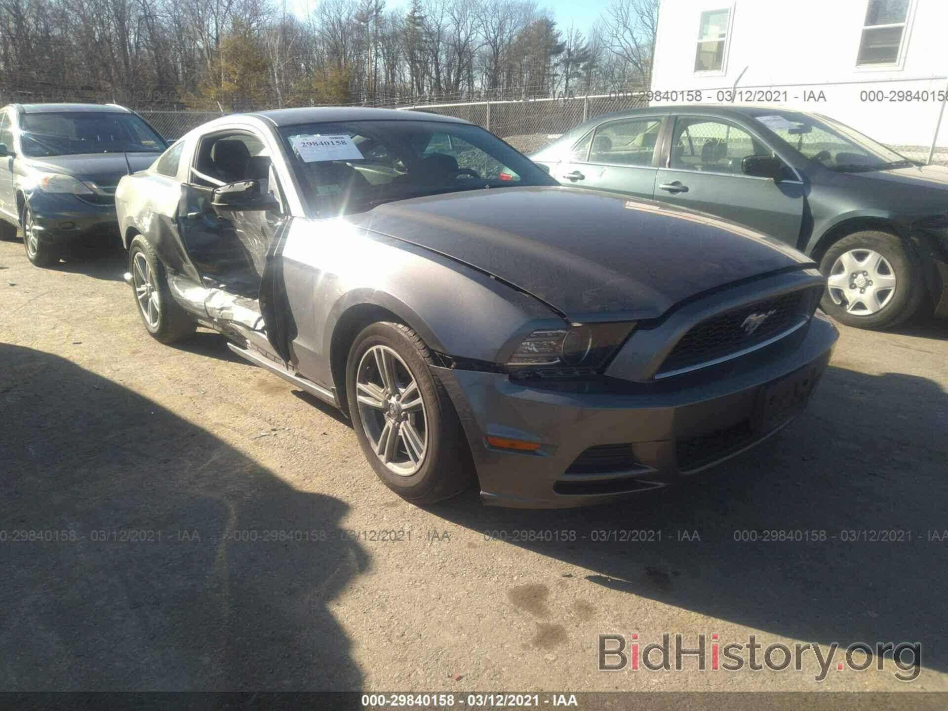 Photo 1ZVBP8AM6E5216236 - FORD MUSTANG 2014