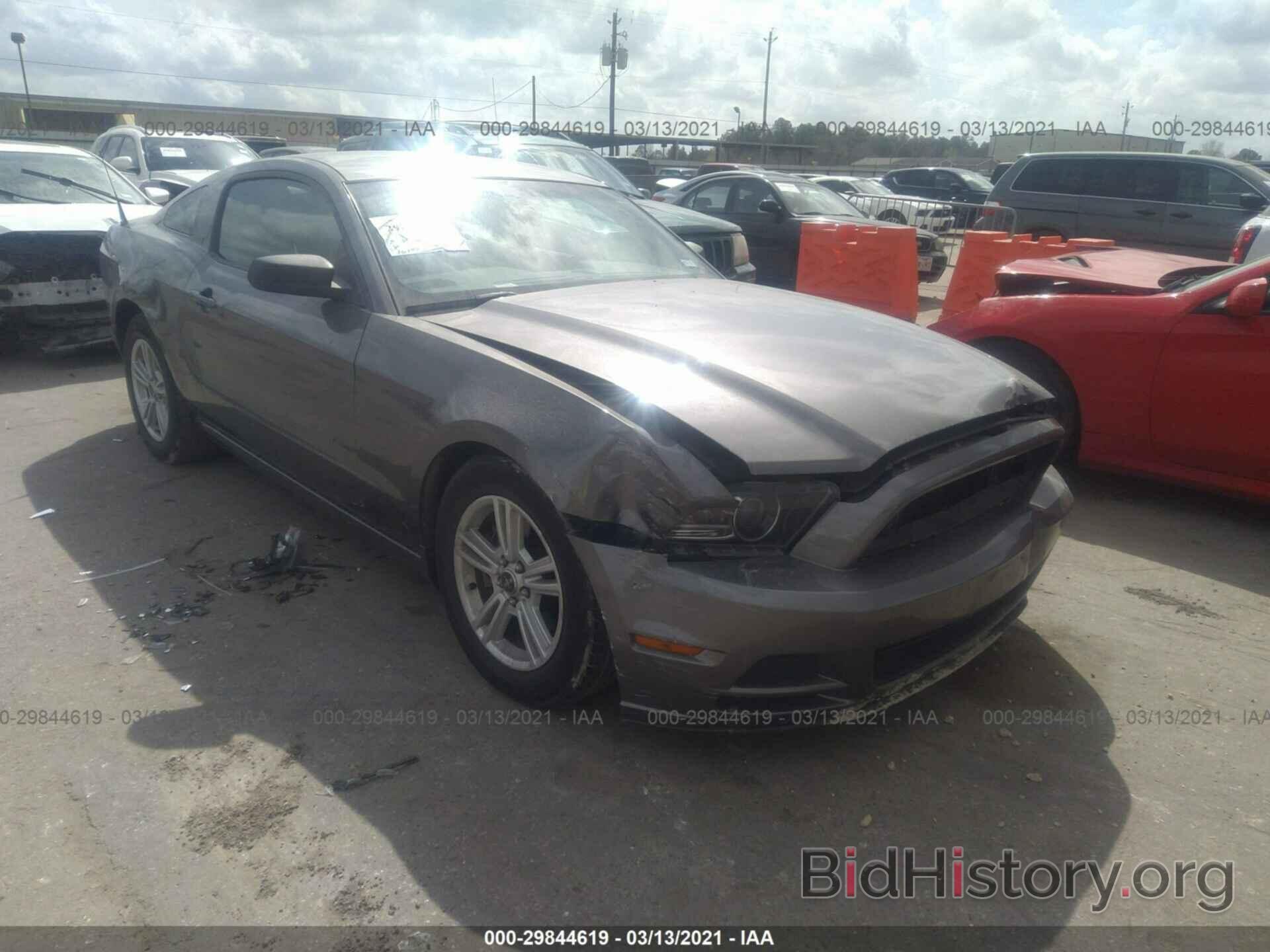 Photo 1ZVBP8AM1E5262881 - FORD MUSTANG 2014
