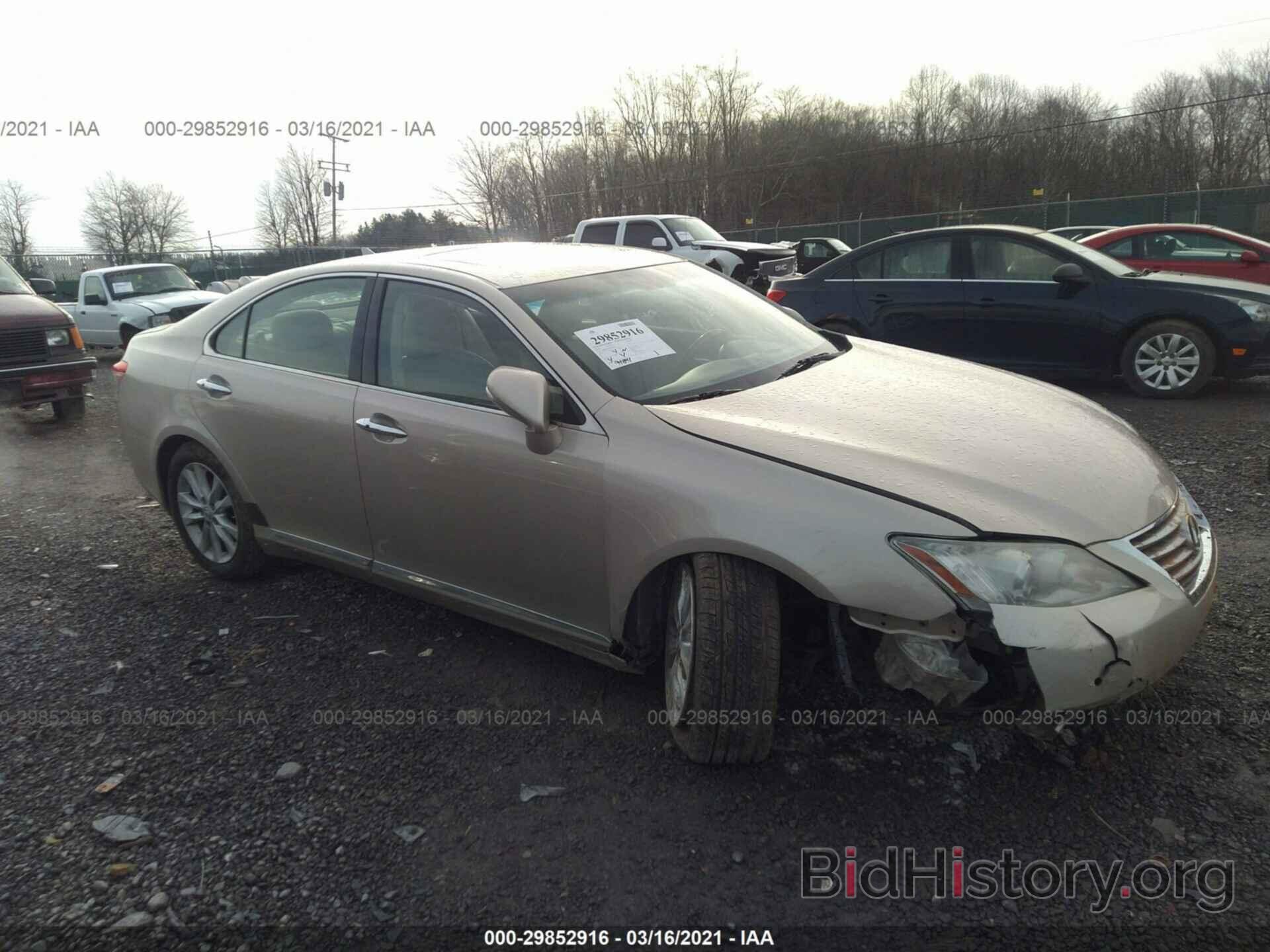 Фотография JTHBK1EG3A2366313 - LEXUS ES 350 2010